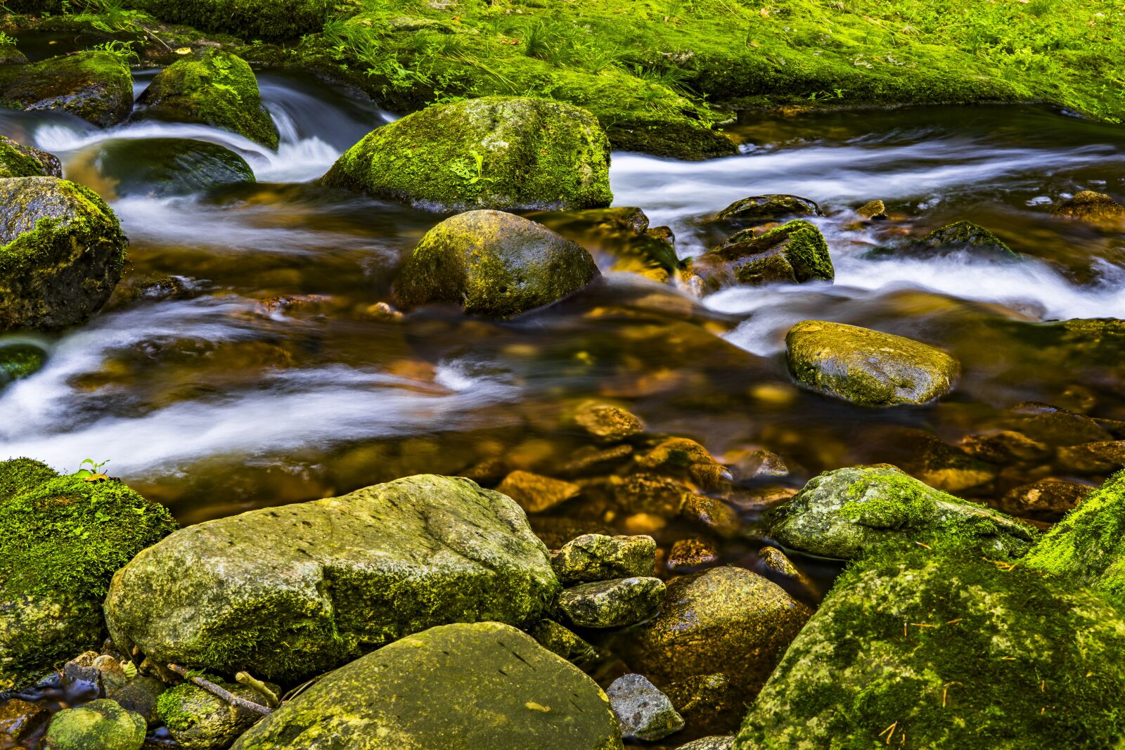 Sony a6300 + Sigma 30mm F2.8 EX DN sample photo. Water, river, nature photography