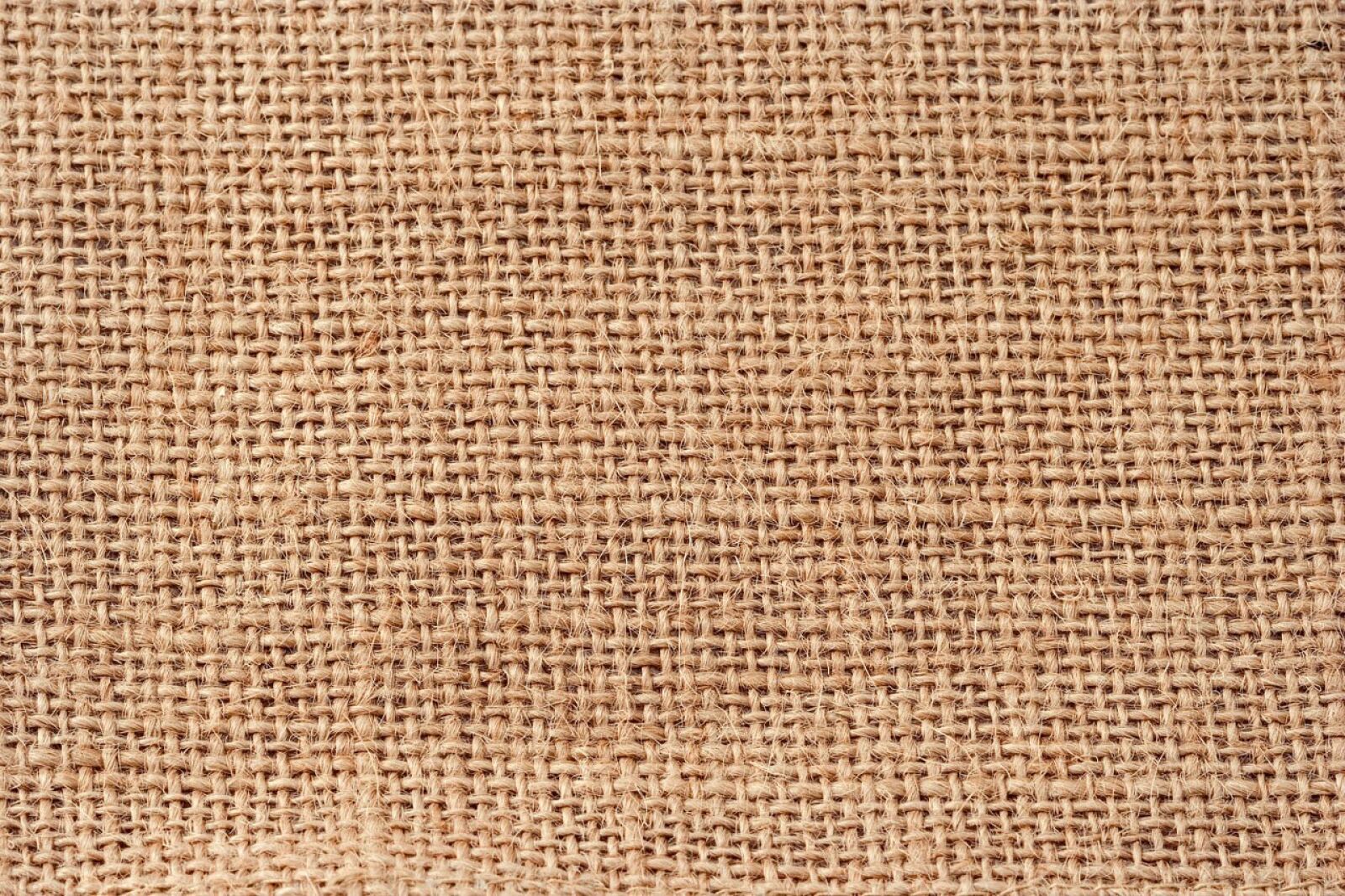 Canon EOS 350D (EOS Digital Rebel XT / EOS Kiss Digital N) sample photo. Jute, bag, sack photography