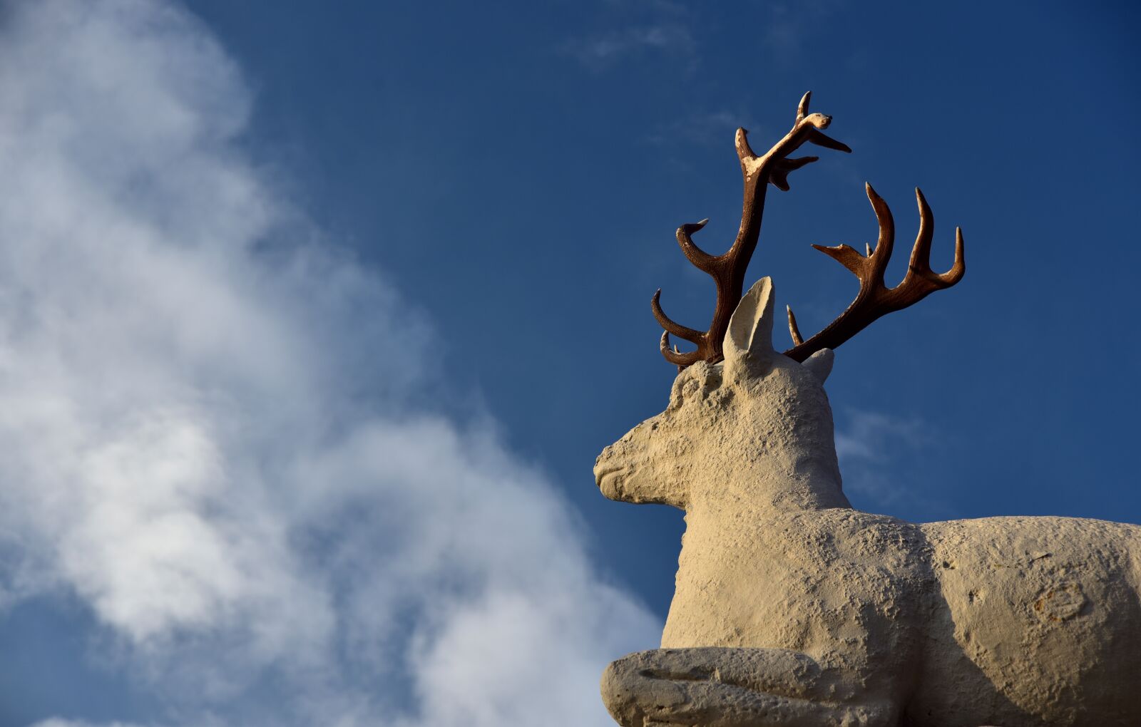 Nikon D750 sample photo. Hirsch, statue, animal photography