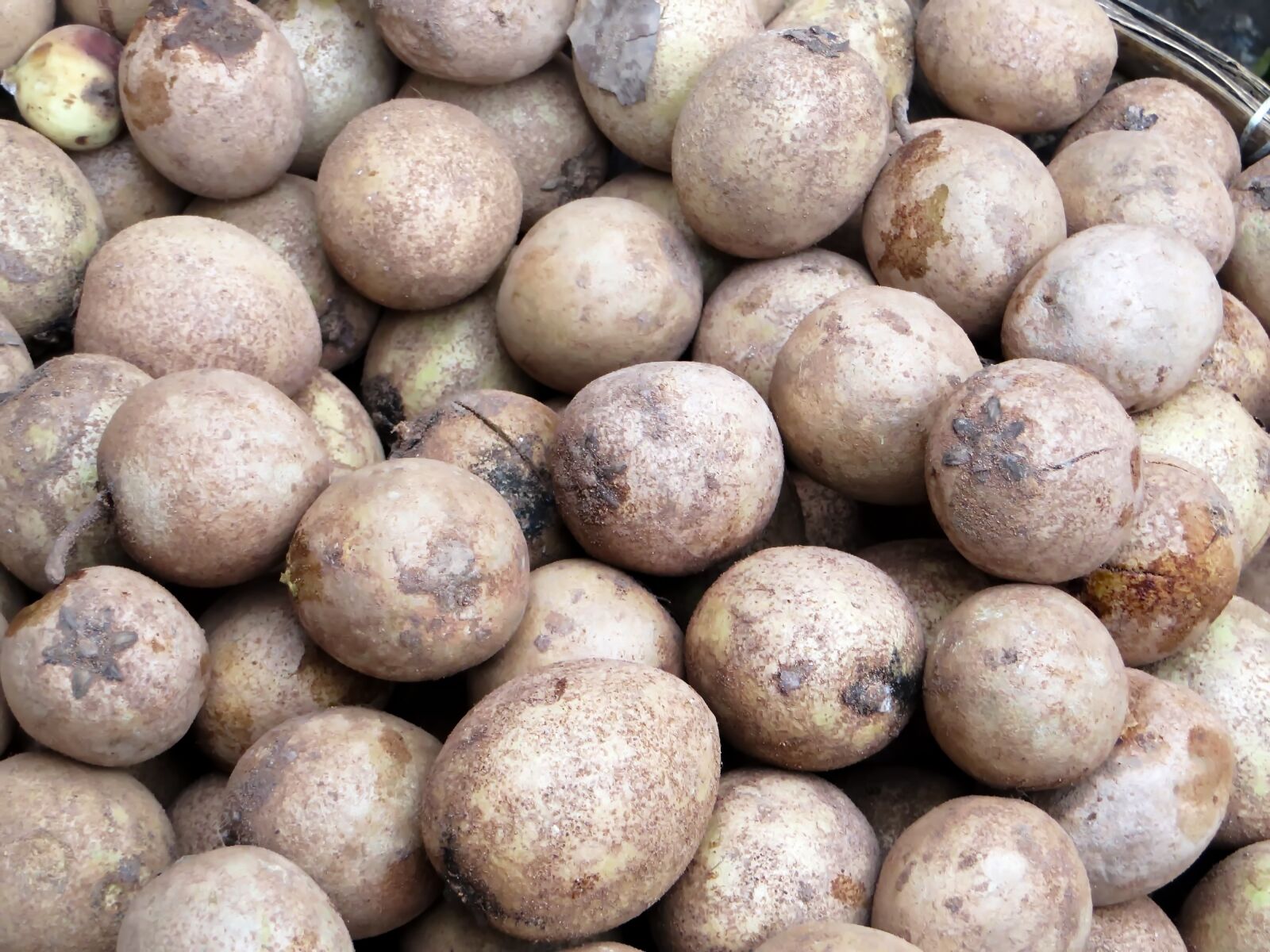 Canon PowerShot SX270 HS sample photo. Laos, market, longan photography