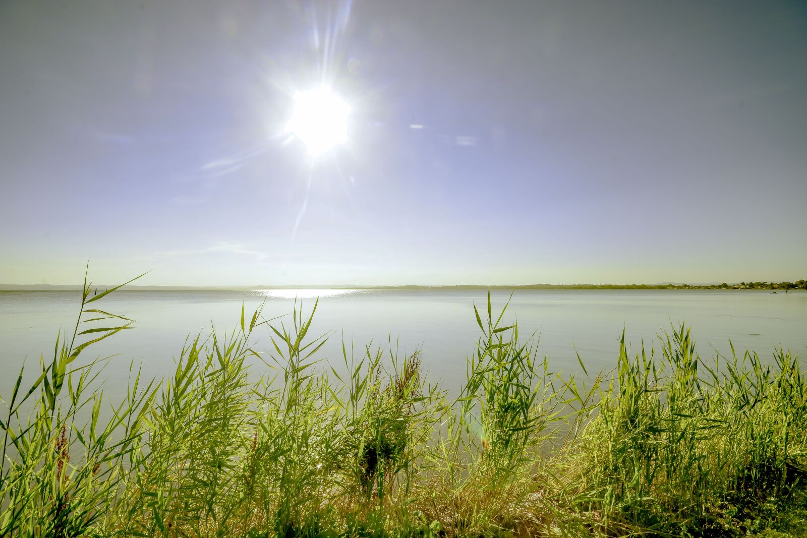 Nikon D7100 sample photo. Lake, sunset, reeds photography