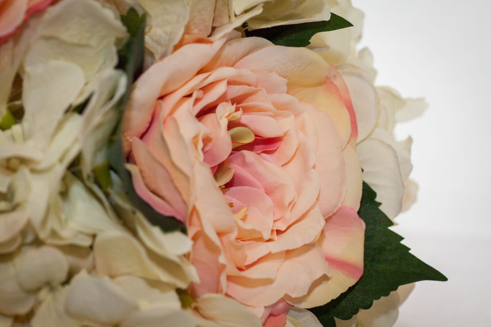 Canon EOS 50D sample photo. Flower, display, wedding photography