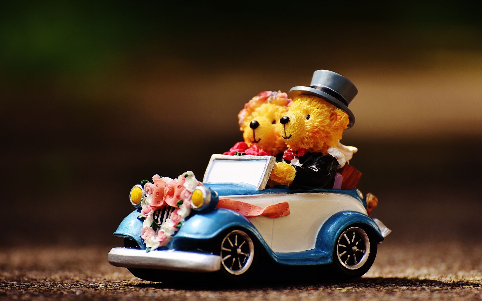 Nikon D7200 sample photo. Wedding, bear, figures photography