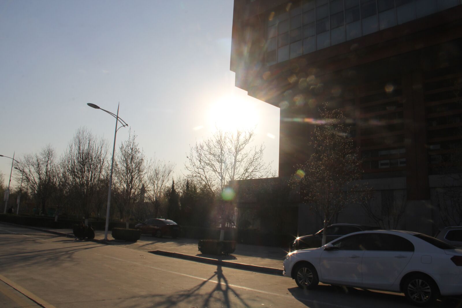 Canon EOS 60D sample photo. 校园, 风景, 傍晚 photography