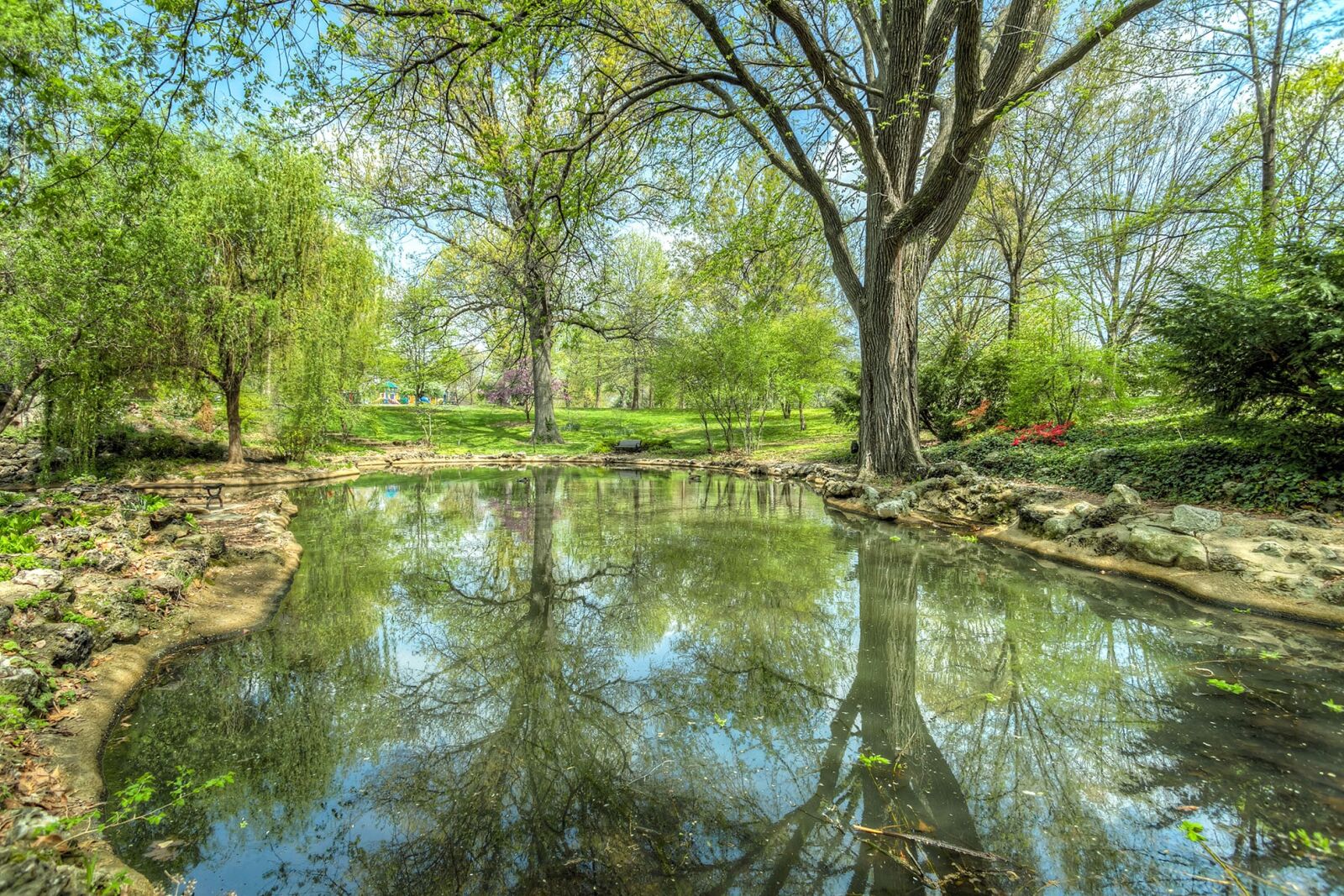 Canon EOS 5D Mark III sample photo. Park, pond, reflection photography