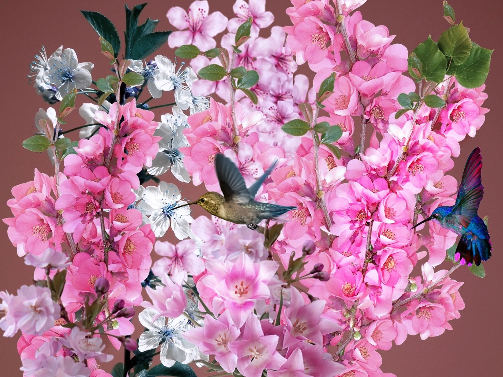 FujiFilm FinePix HS10 (FinePix HS11) sample photo. Beija, flores, bird, bouquet photography