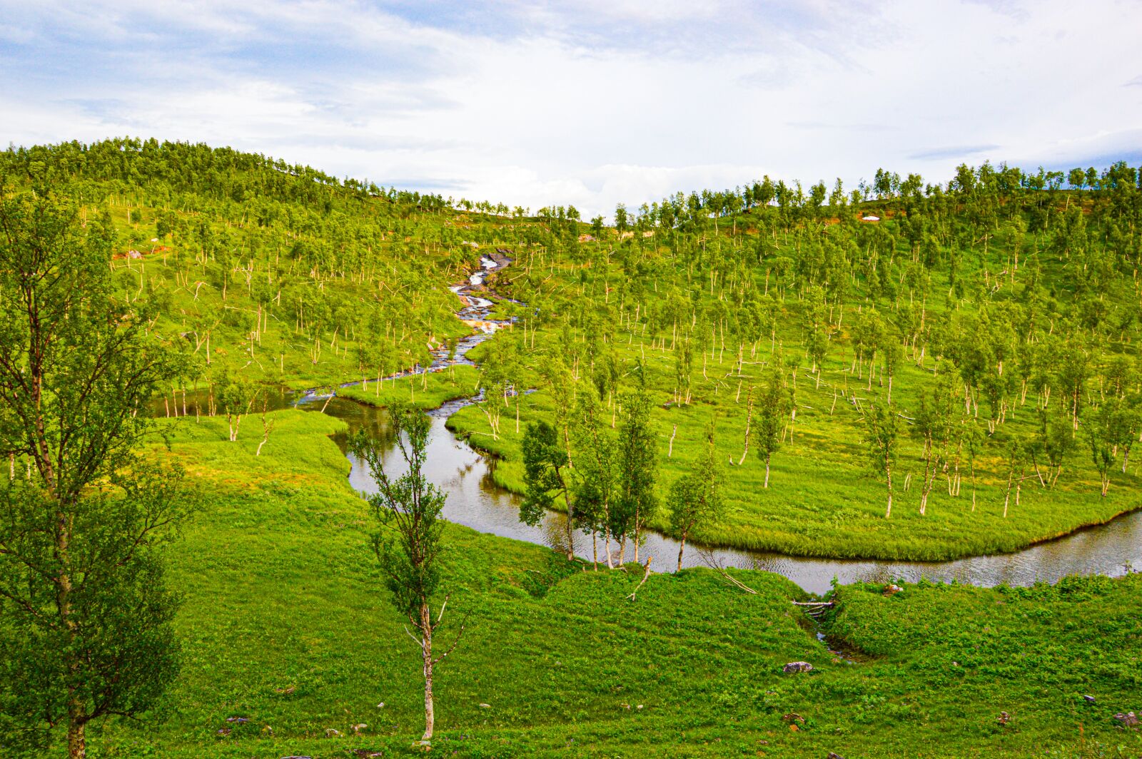 Nikon D3200 sample photo. River, norway, europe photography