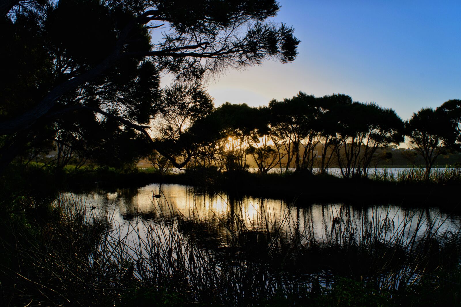 Nikon D3300 sample photo. Twilight, sunset, dusk photography