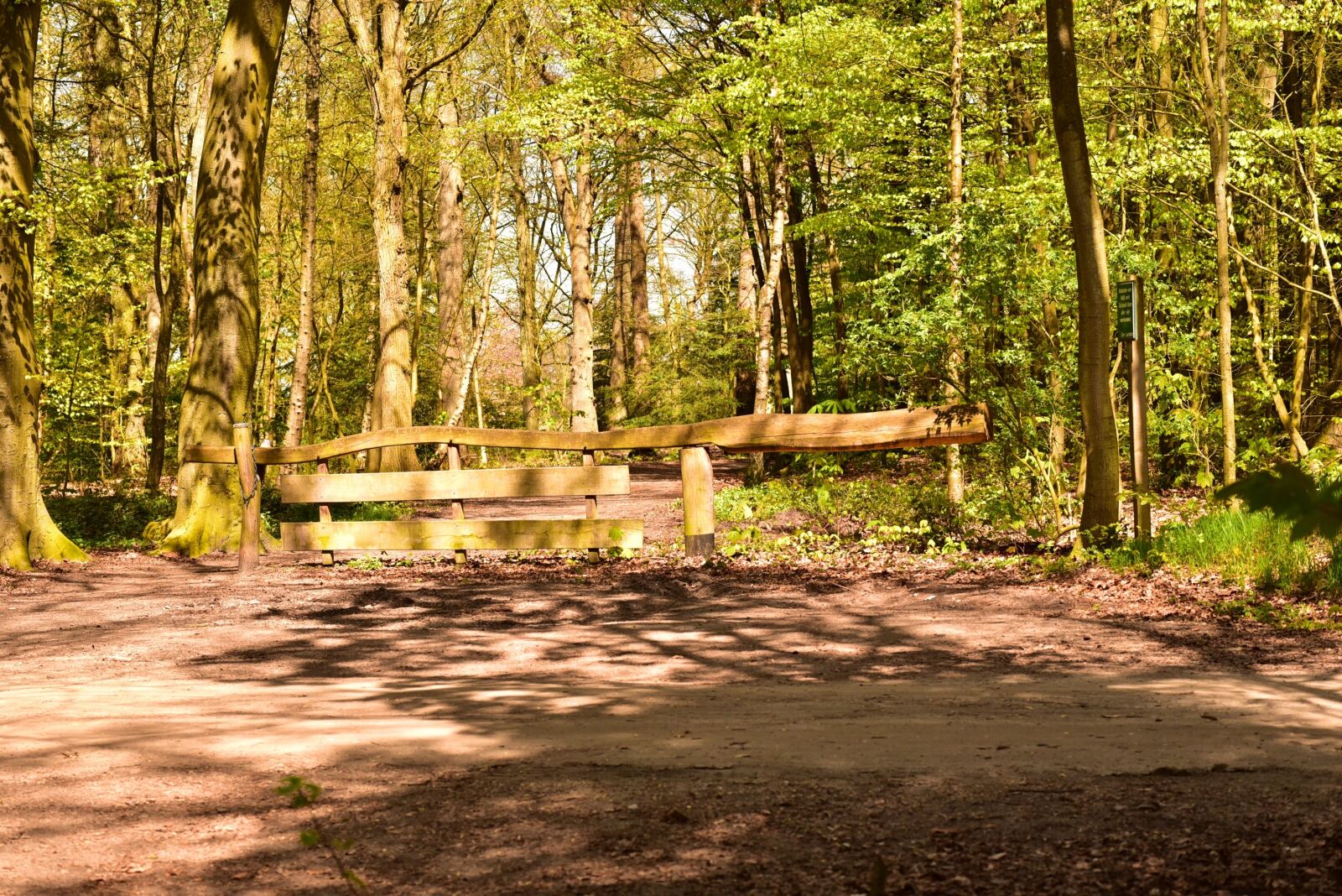Nikon D750 sample photo. Wooden gate, goal, forest photography