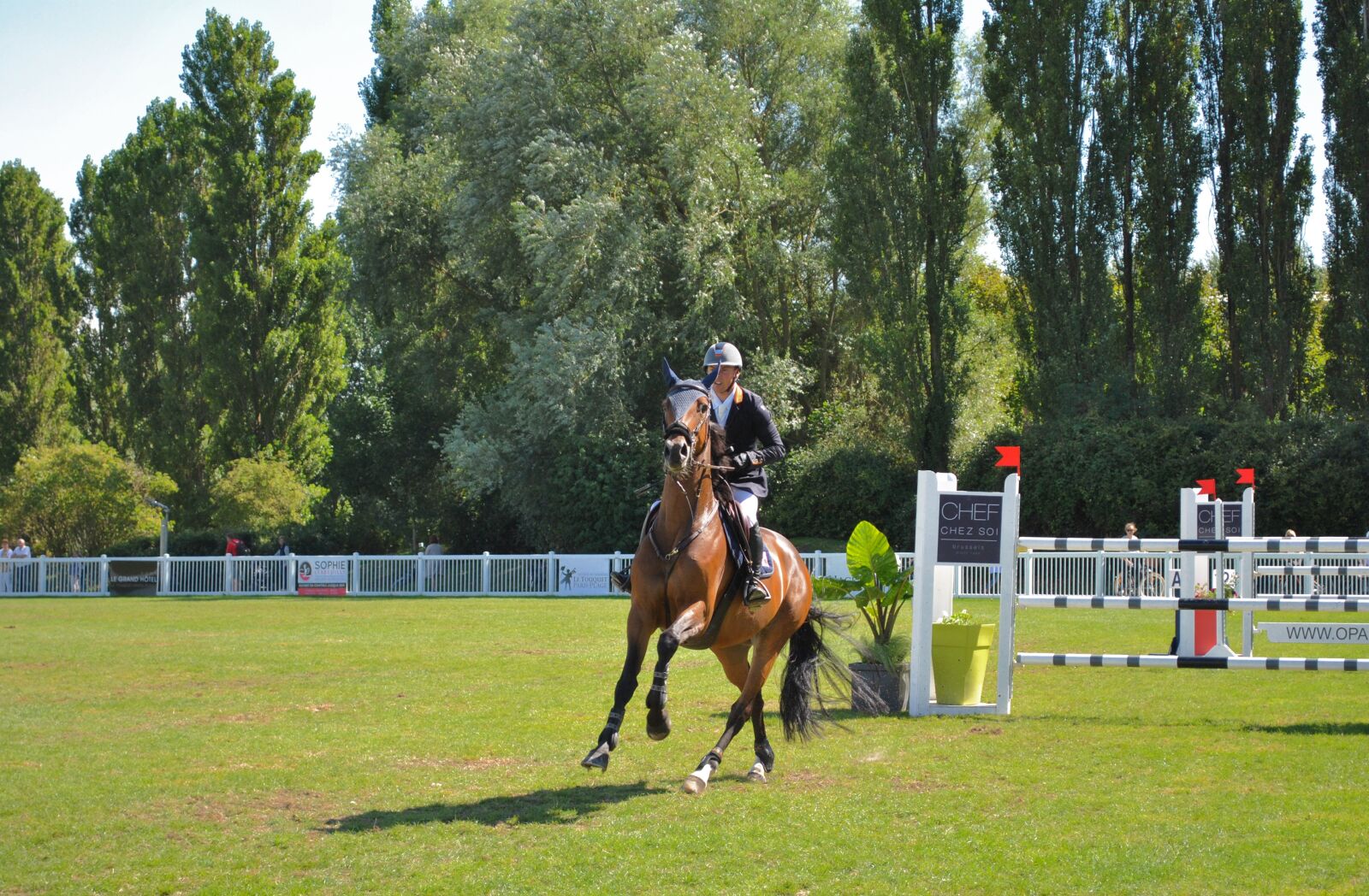 Nikon D3000 sample photo. Ipodrom, horse, rider photography
