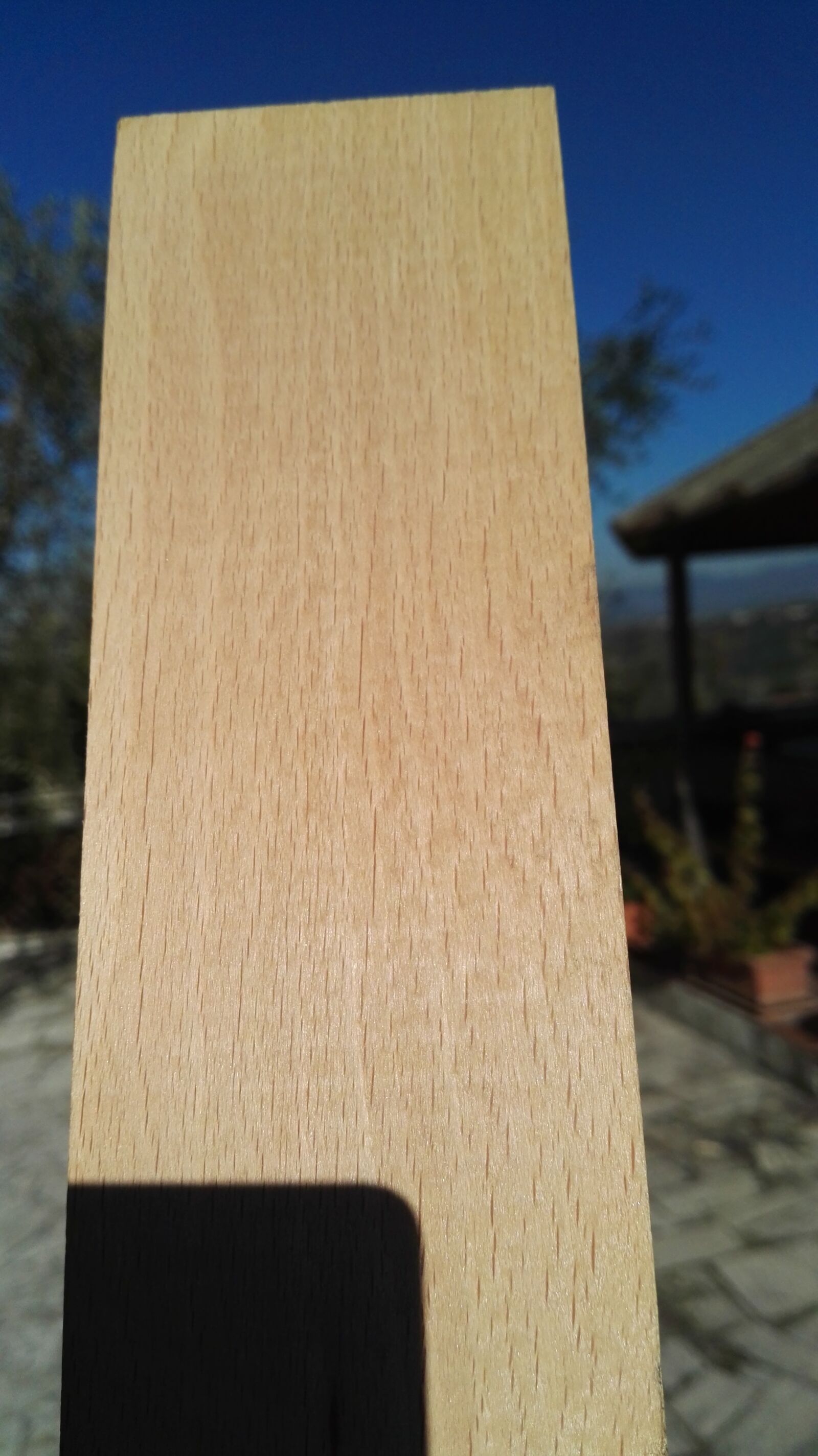 HUAWEI P8 sample photo. Oak, wood, quercus photography