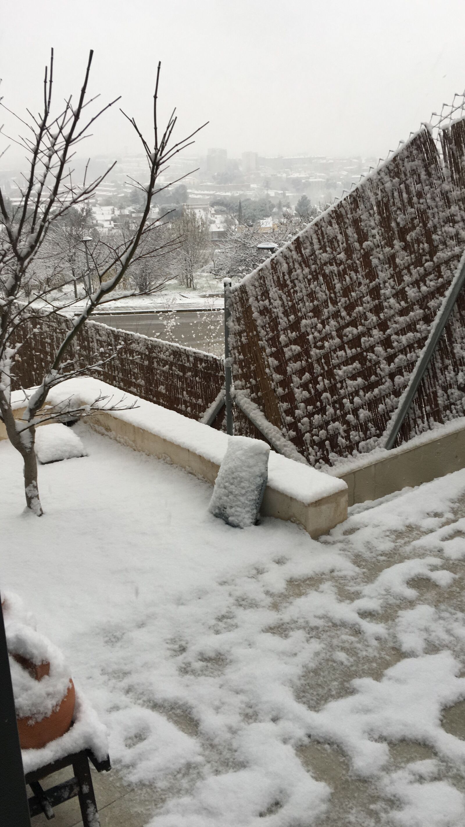 iPhone 6s Plus back camera 4.15mm f/2.2 sample photo. Snow, cold, ice photography