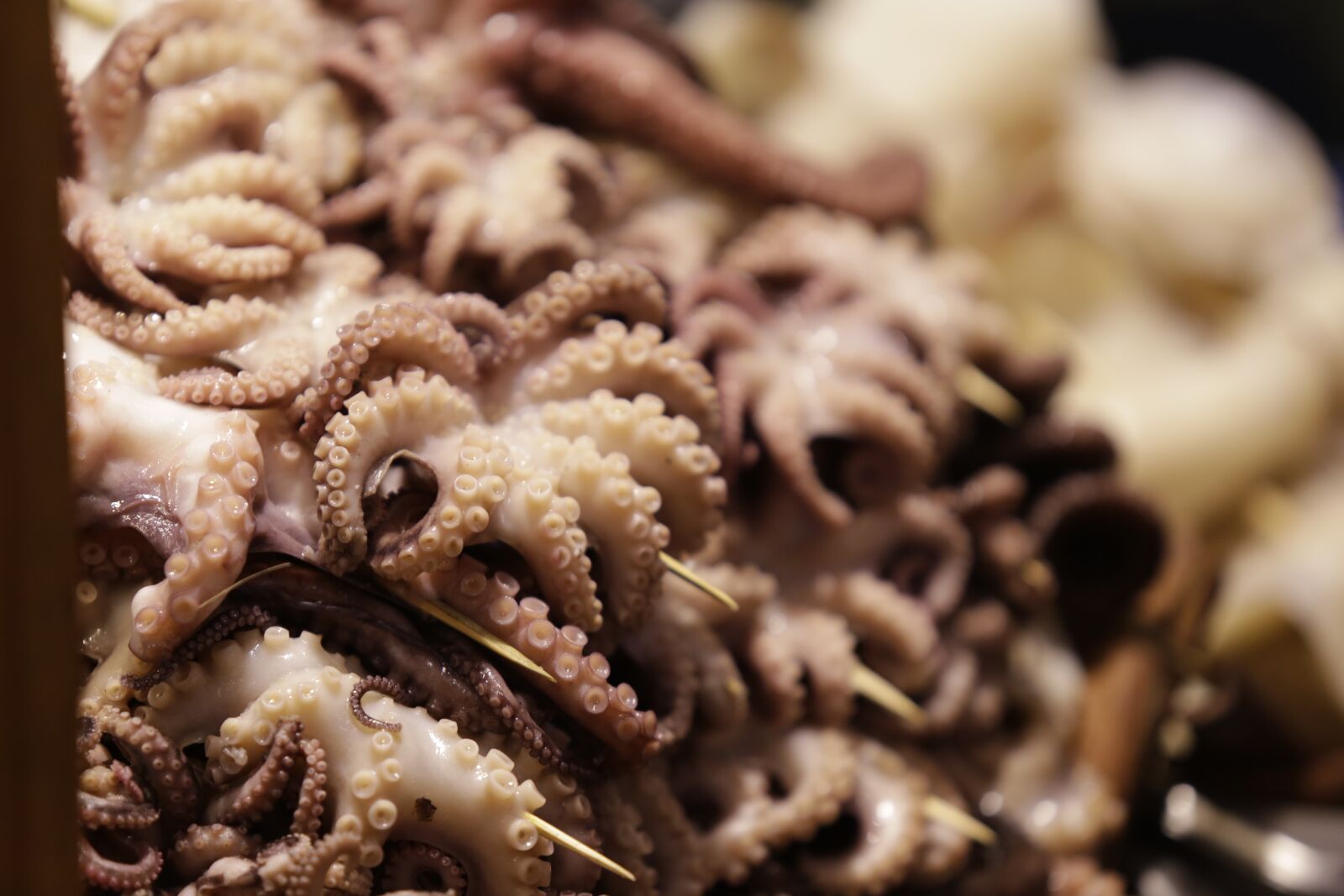 Canon EF 70-200mm F2.8L USM sample photo. Squid, food, seafood photography