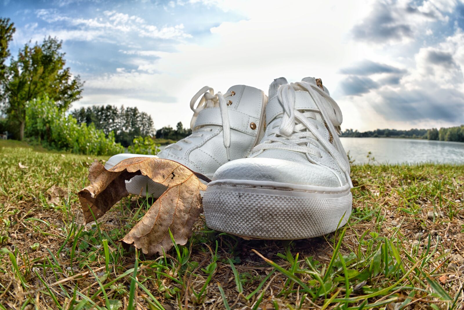 Nikon D3300 sample photo. Nature, summer, sky photography