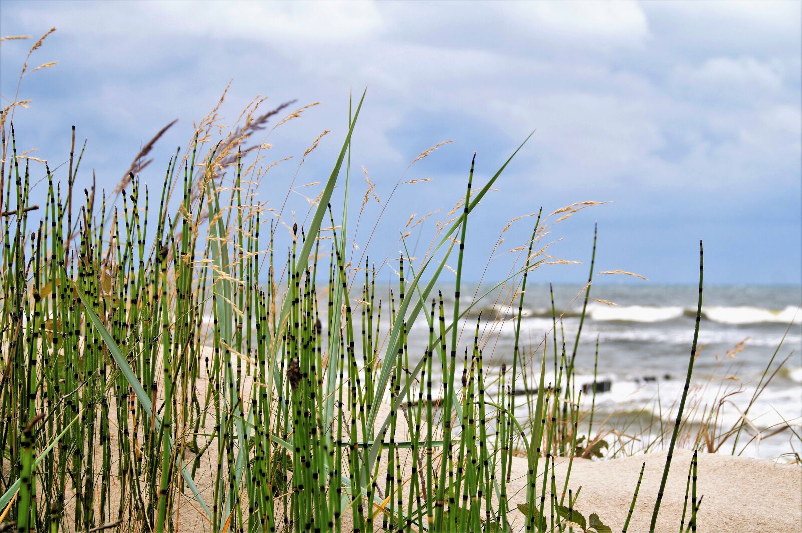 Sony SLT-A58 sample photo. Sea, coast, dune photography