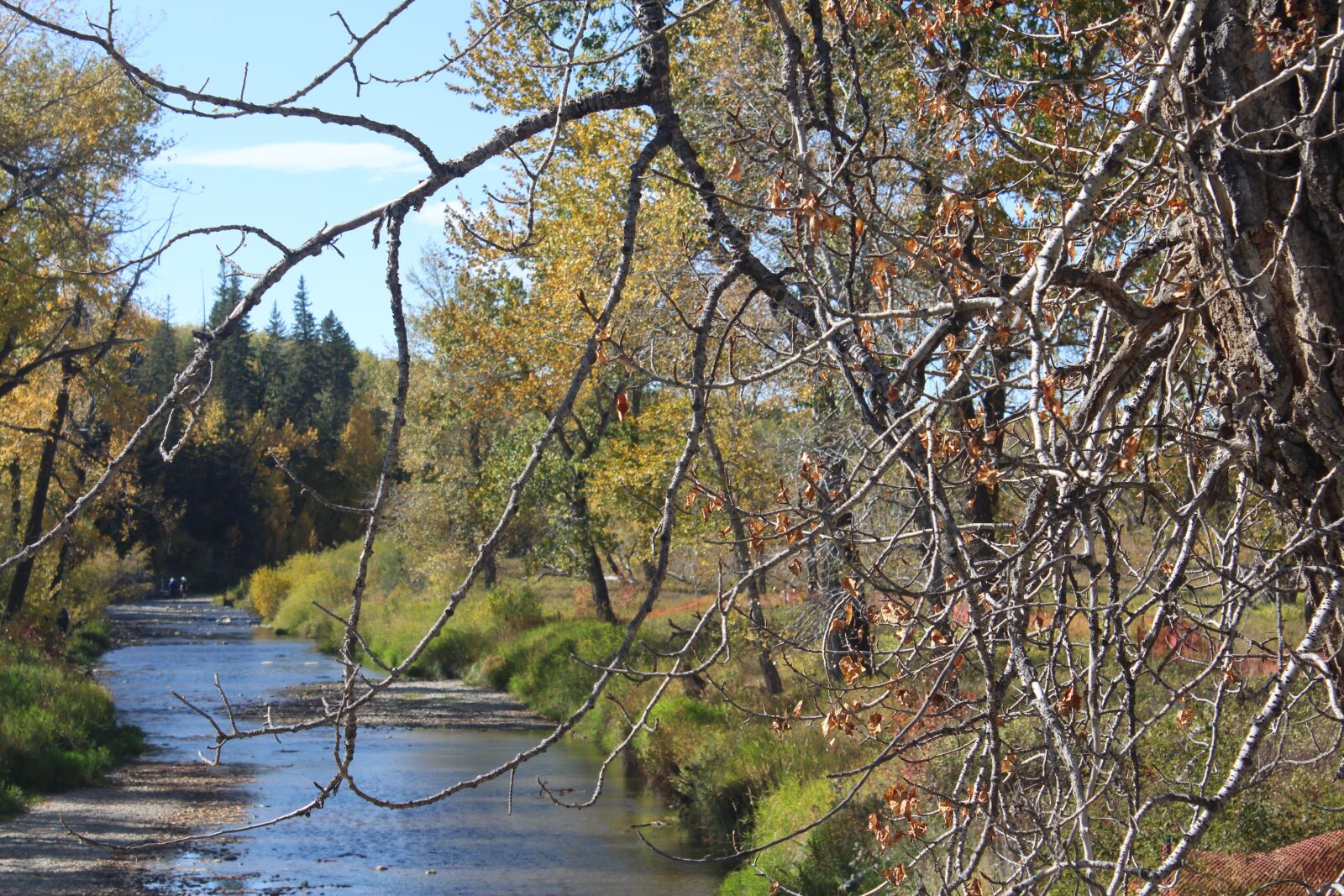 Canon EOS 1300D (EOS Rebel T6 / EOS Kiss X80) + Canon EF-S 18-55mm F3.5-5.6 IS II sample photo. Fall, river, stream photography