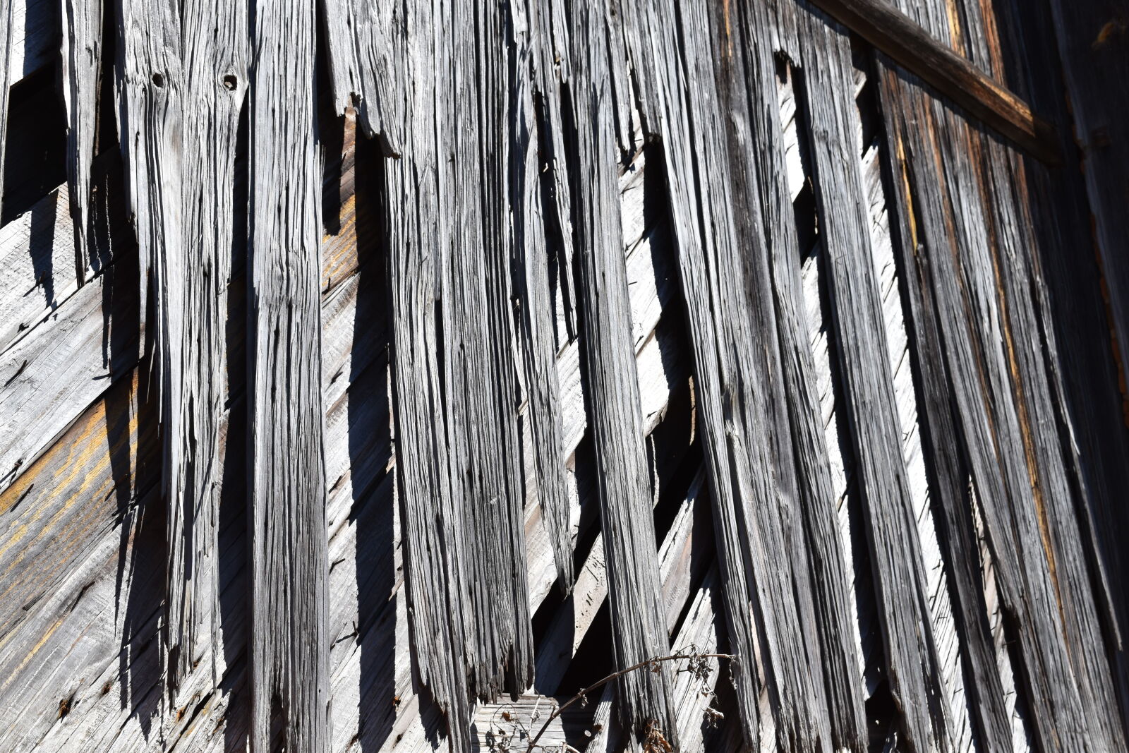 Nikon D5500 sample photo. Old, wood photography