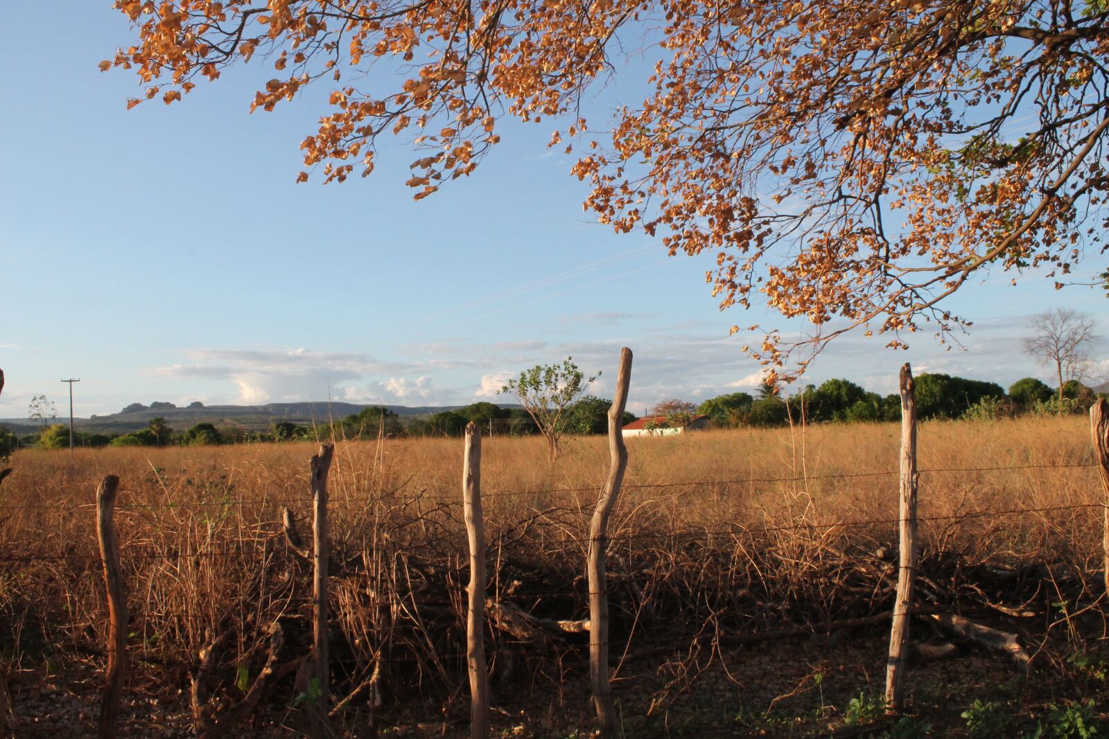 Canon EOS 1100D (EOS Rebel T3 / EOS Kiss X50) sample photo. Nature, roça, landscape photography