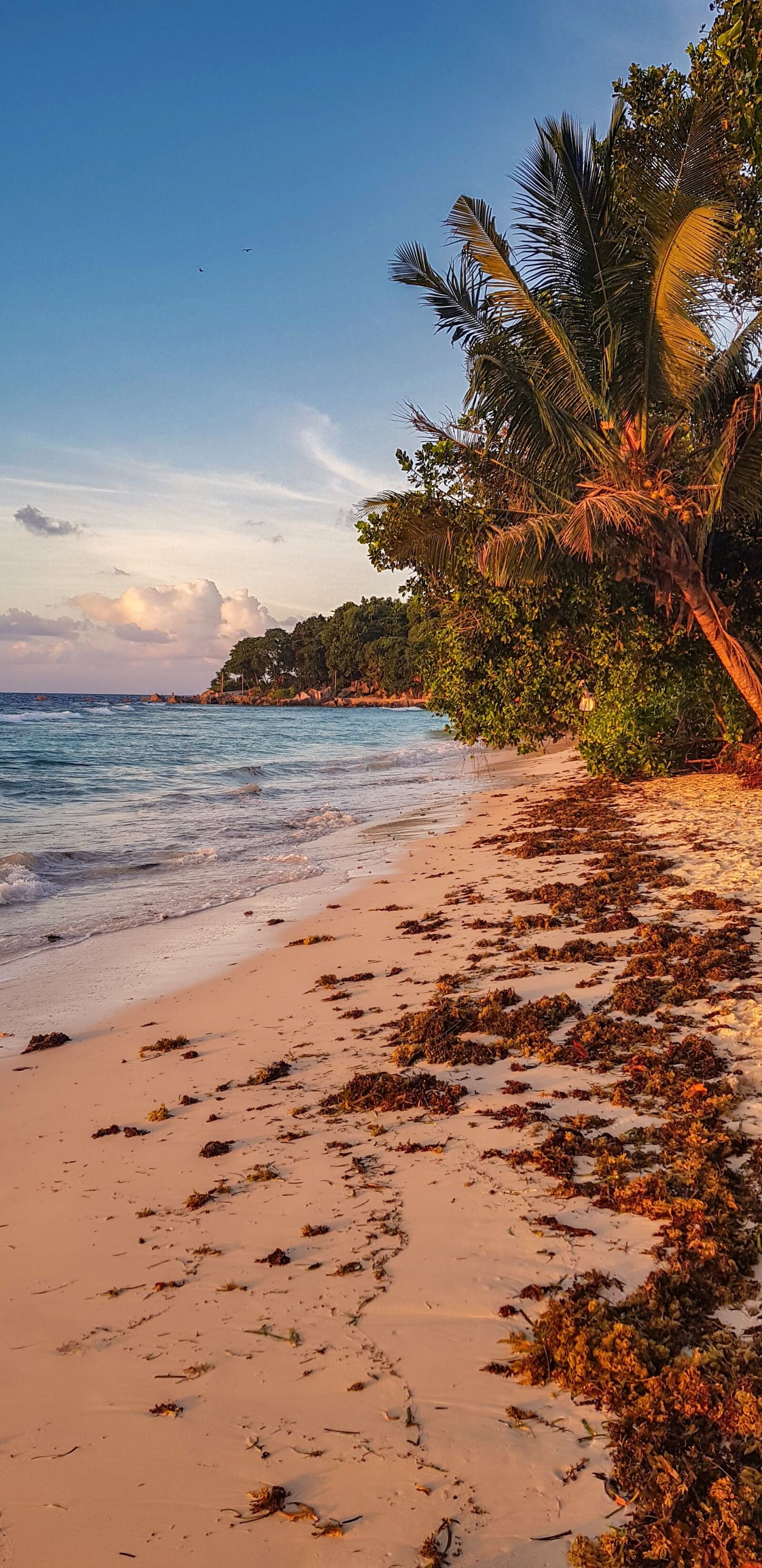Samsung Galaxy S8 sample photo. Seychelles, sunset, beach photography