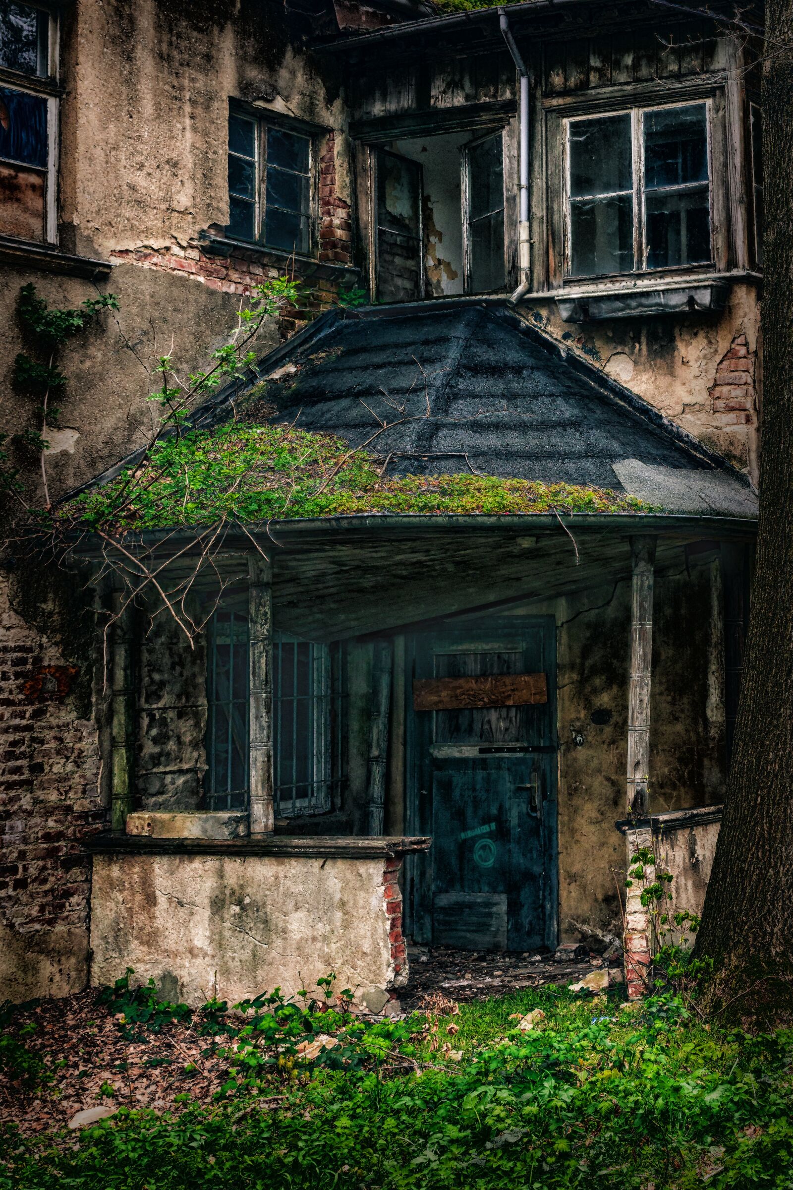 Canon EOS 700D (EOS Rebel T5i / EOS Kiss X7i) sample photo. Lost place, break up photography