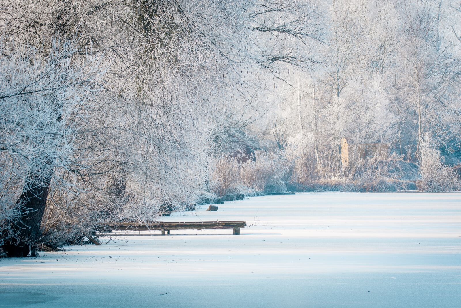 Nikon D7100 sample photo. Wintry, lake, winter photography