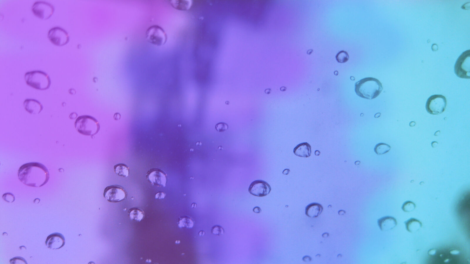 Canon PowerShot SD790 IS (Digital IXUS 90 IS / IXY Digital 95 IS) sample photo. Water, drops, pink, violet photography