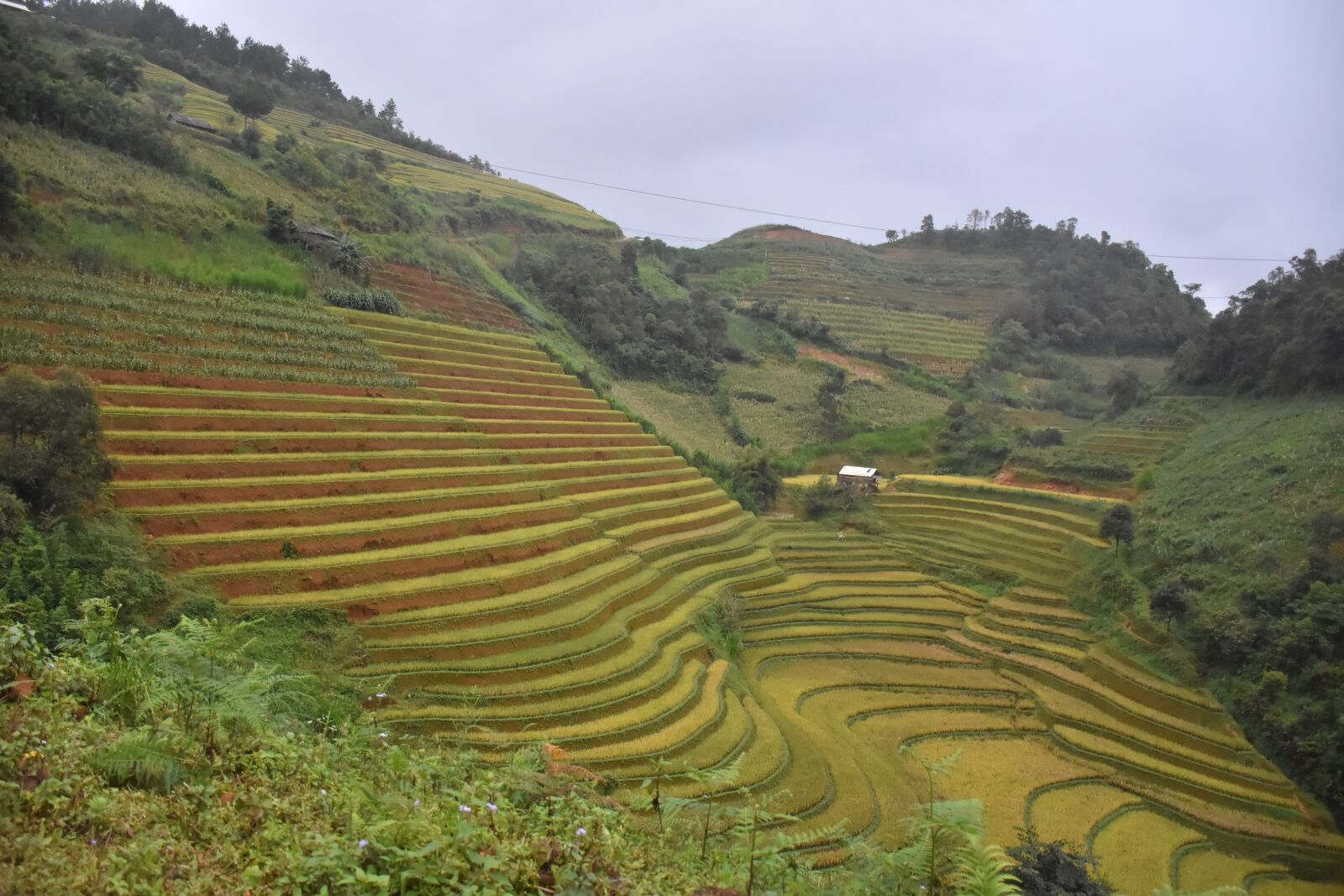 Nikon D7200 sample photo. Terraces, mountains, vietnam photography
