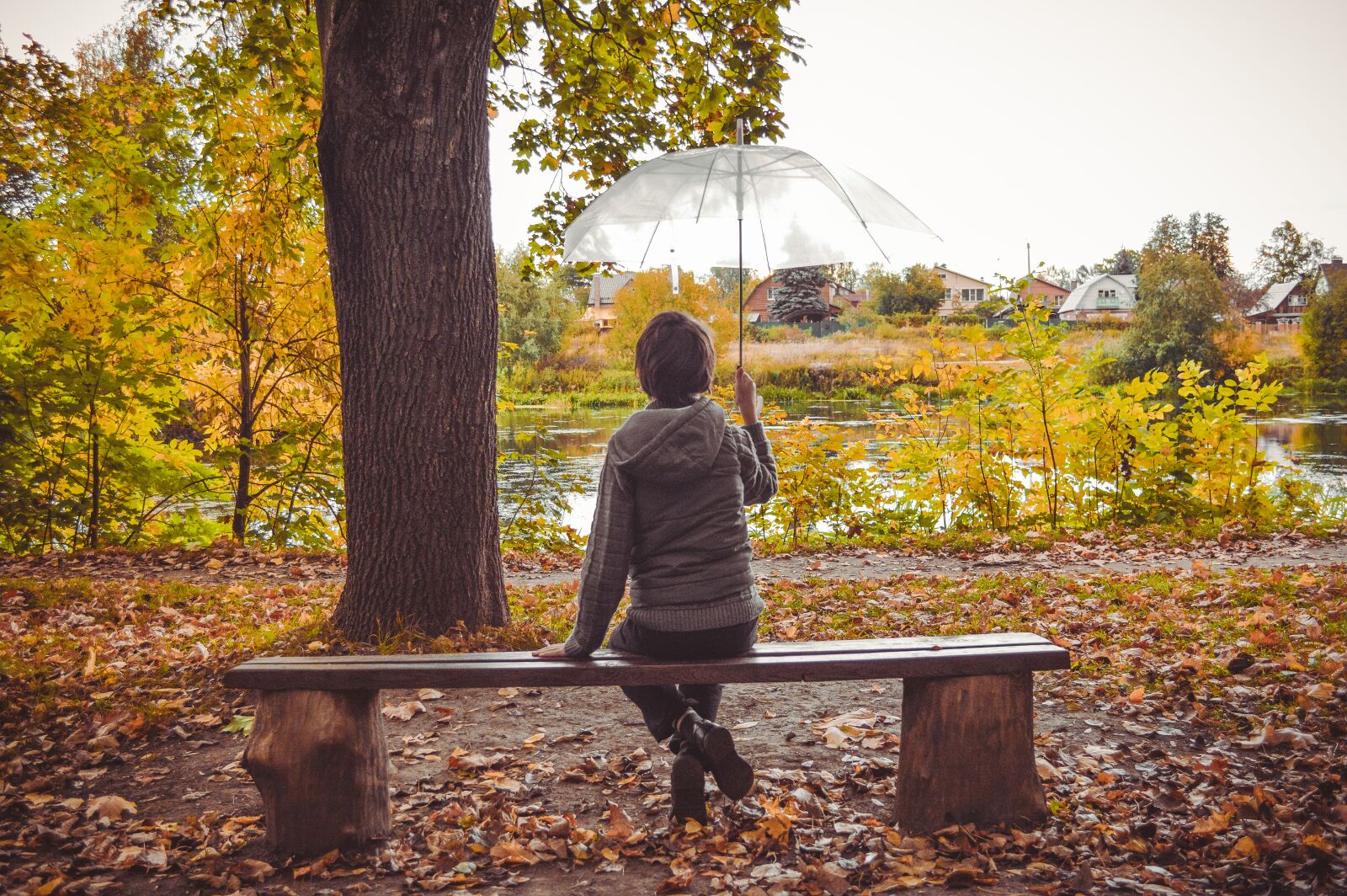 Nikon D3200 sample photo. Umbrella, bench, park photography