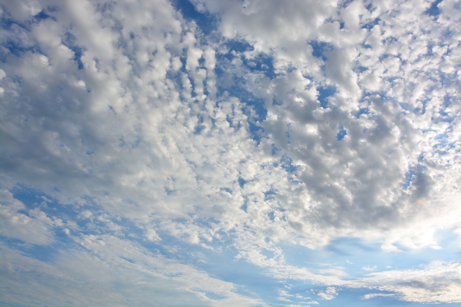 Nikon D5200 sample photo. Clouds, white clouds, dark photography