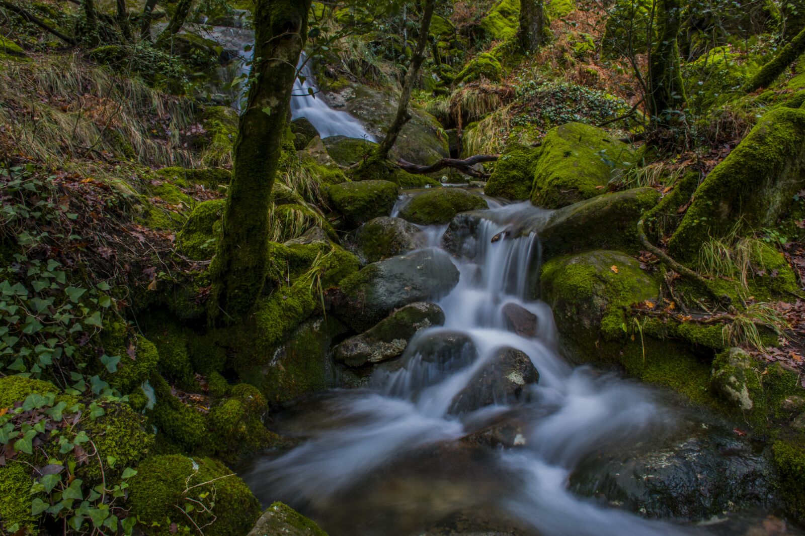 Nikon D5600 sample photo. Waterfall, rio, nature photography