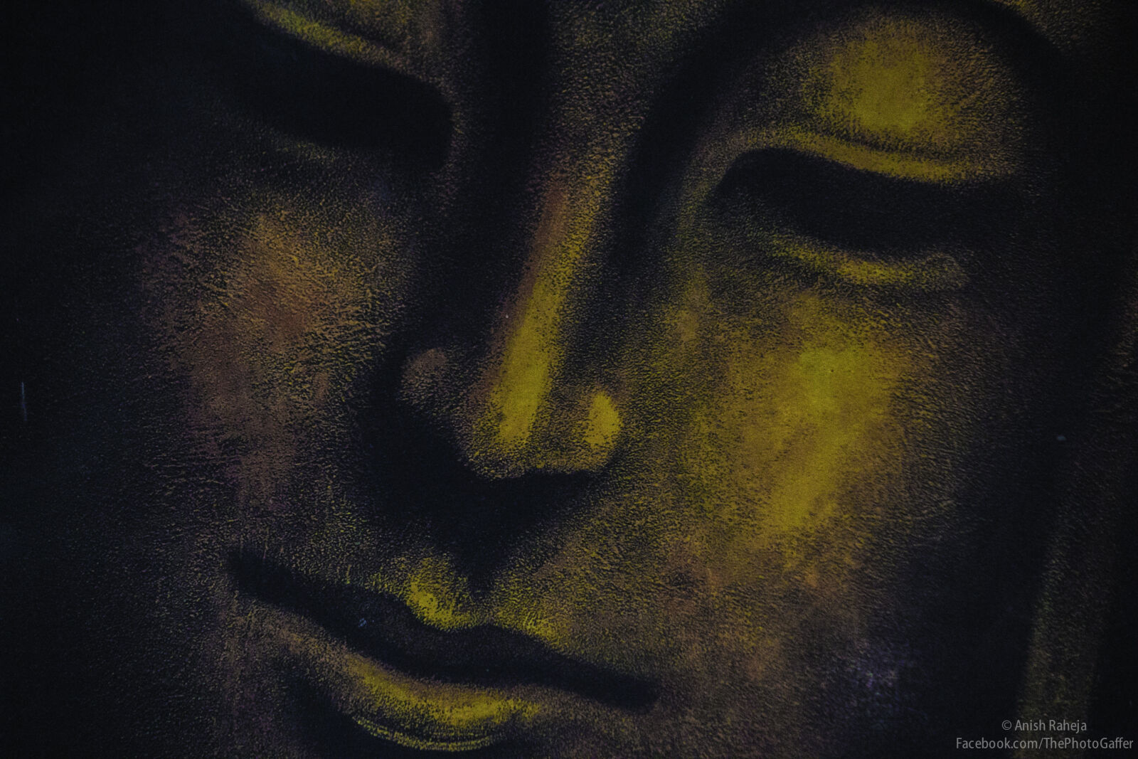 Canon EOS 70D + Canon EF-S 55-250mm F4-5.6 IS sample photo. Buddha, painting photography