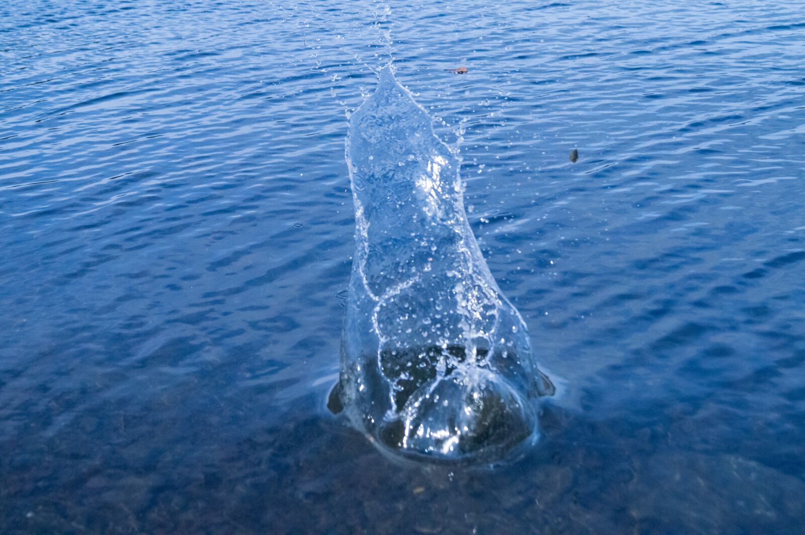 Sony SLT-A57 sample photo. Water splashes, stone, water photography