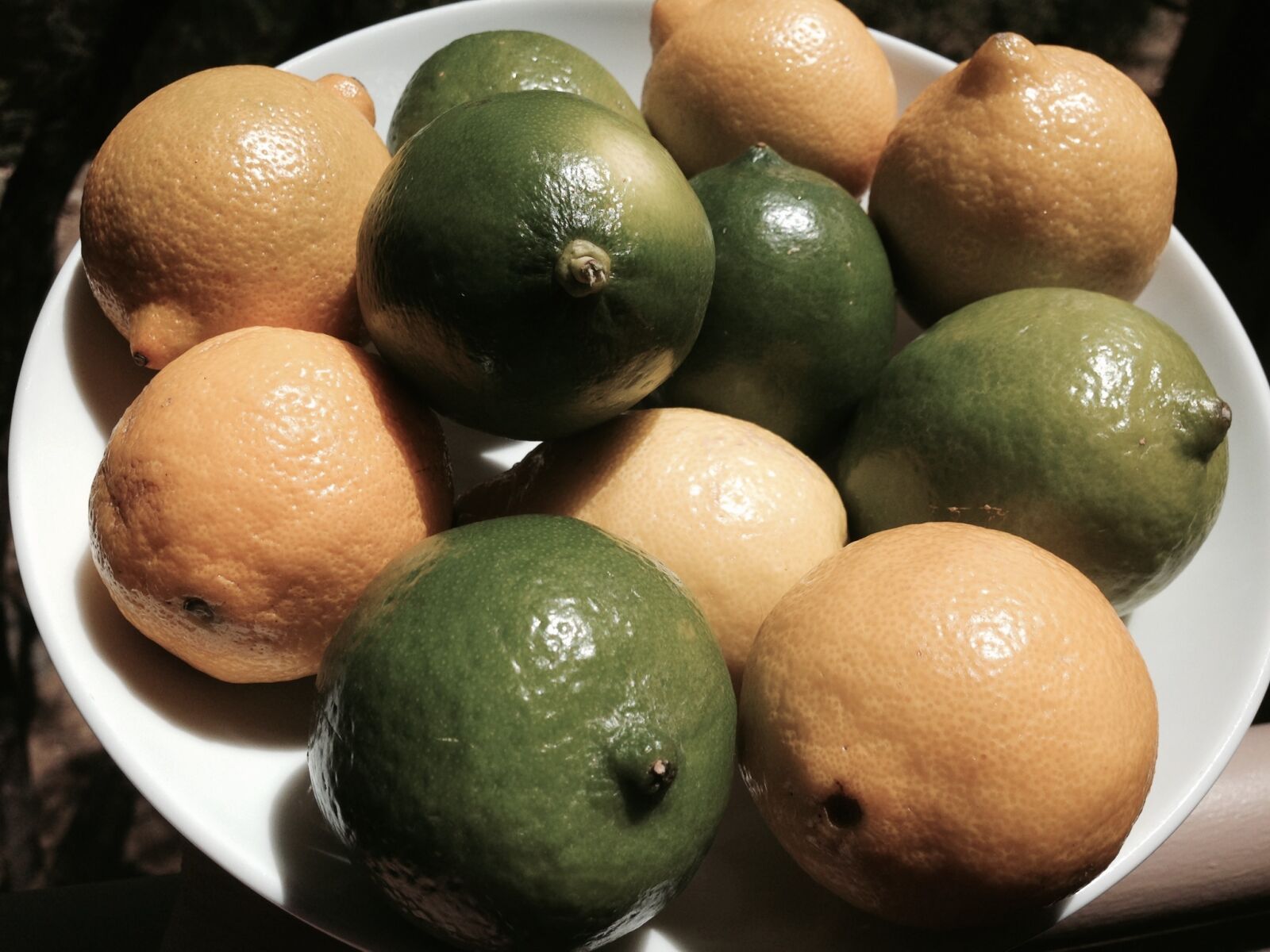 iPhone 5 back camera 4.12mm f/2.4 sample photo. Lemon, lime, citrus photography