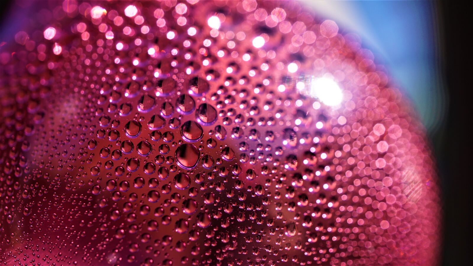 Sony E 30mm F3.5 Macro sample photo. Background, pattern, abstract photography