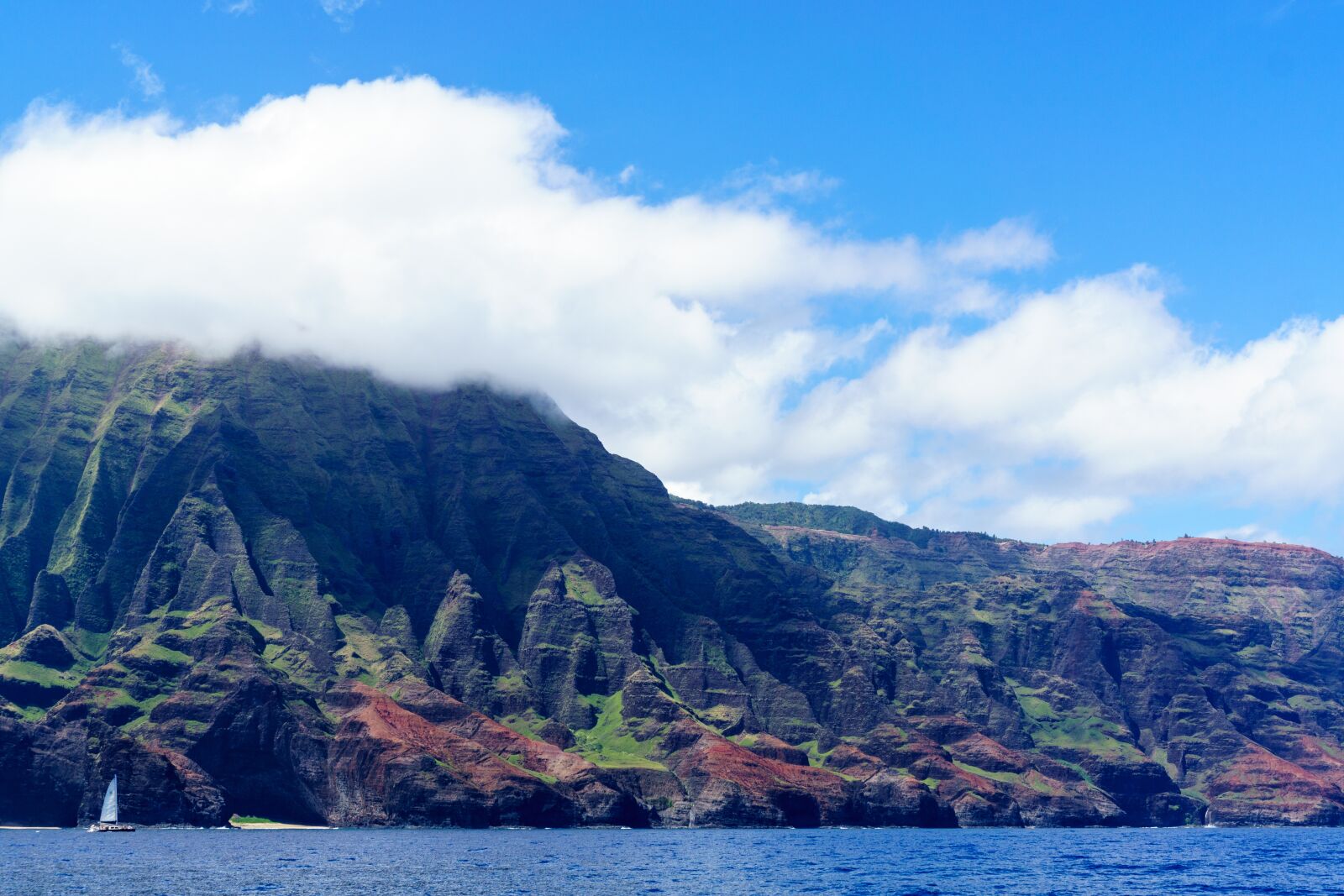 Sony a6000 + Sony E 35mm F1.8 OSS sample photo. Hawaii, kauai, nature photography