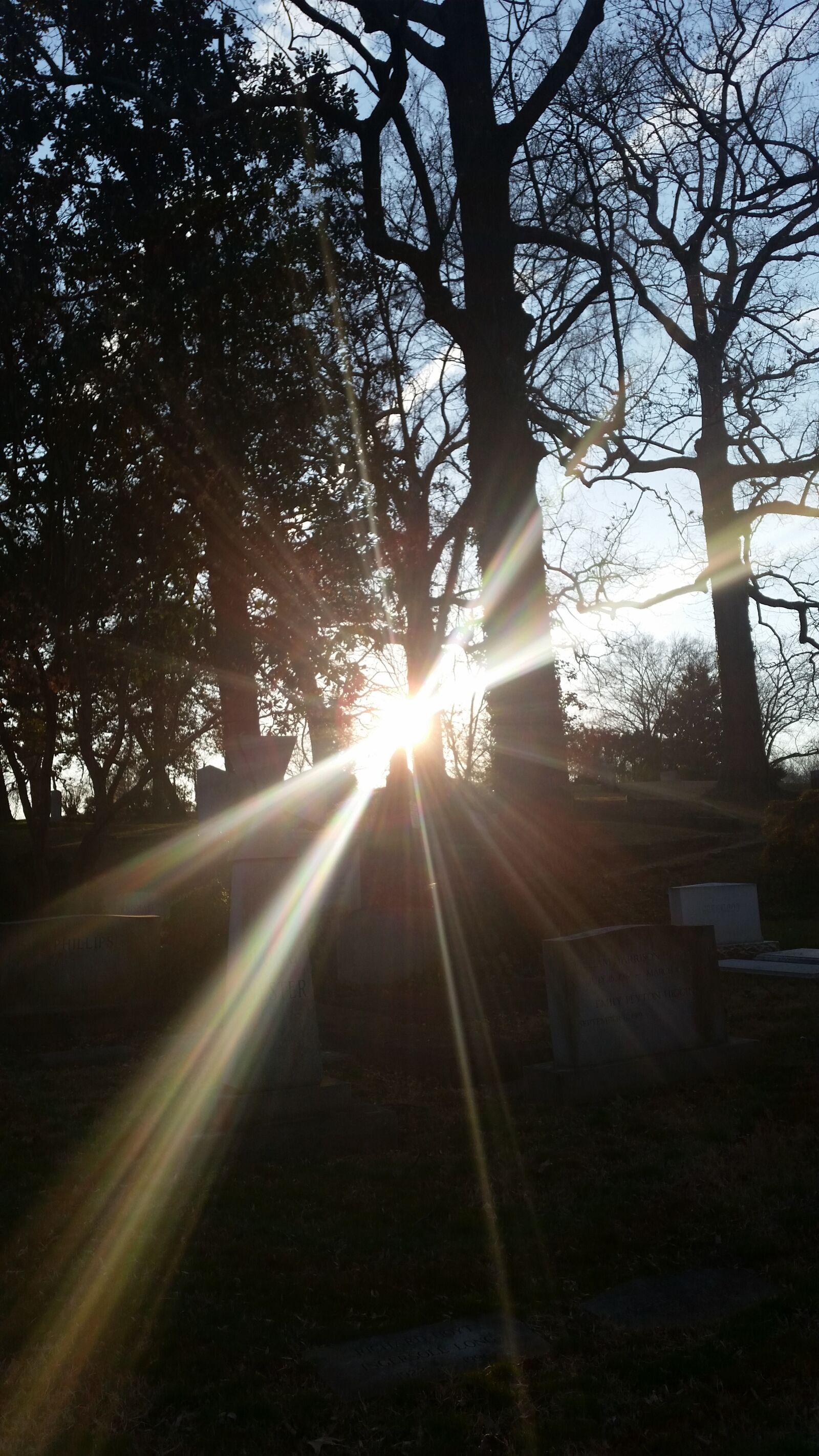 Samsung Galaxy S5 sample photo. Cemetery, sun, light photography