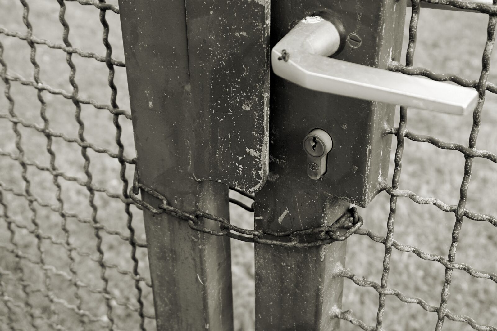 Sony a6000 sample photo. Closed, to, fence photography