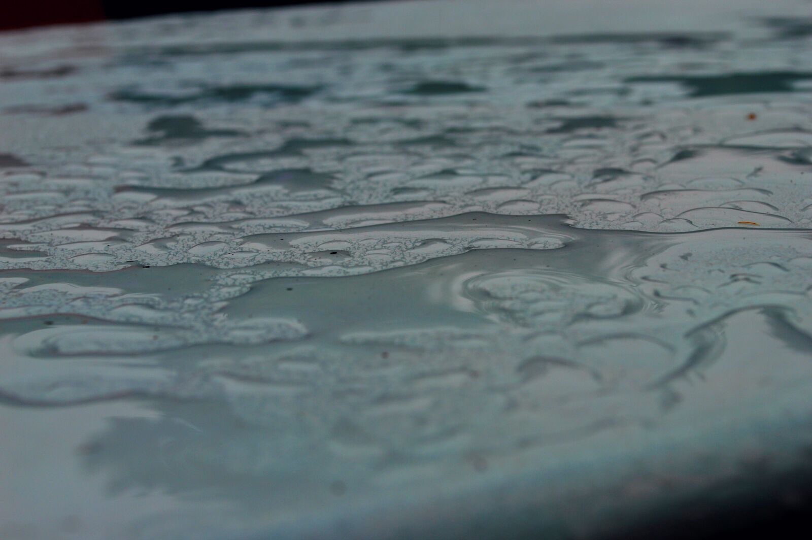 Nikon D3200 sample photo. Full, frame, shot, of photography