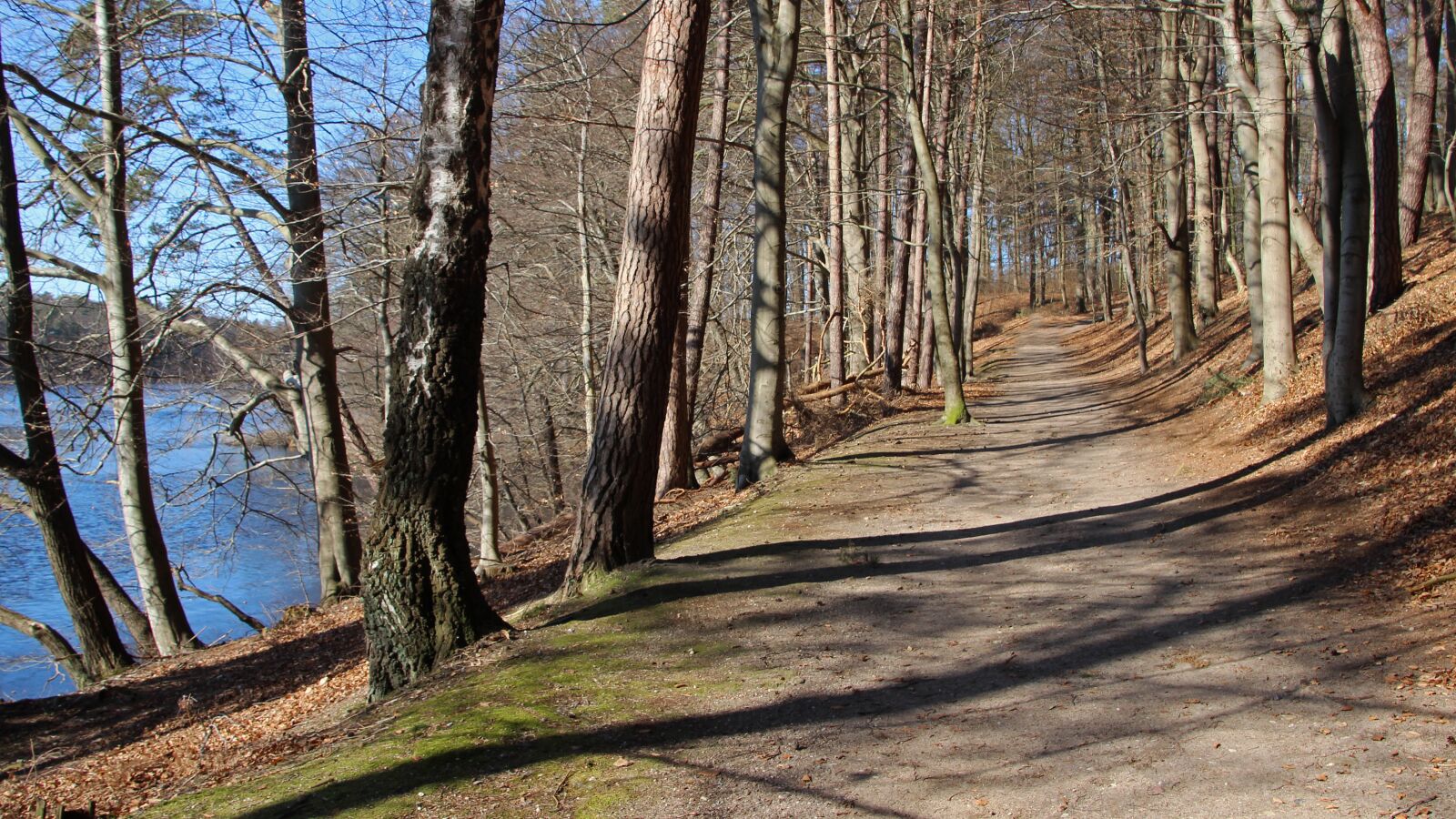 Canon EOS 600D (Rebel EOS T3i / EOS Kiss X5) sample photo. Forest path, lake, nature photography
