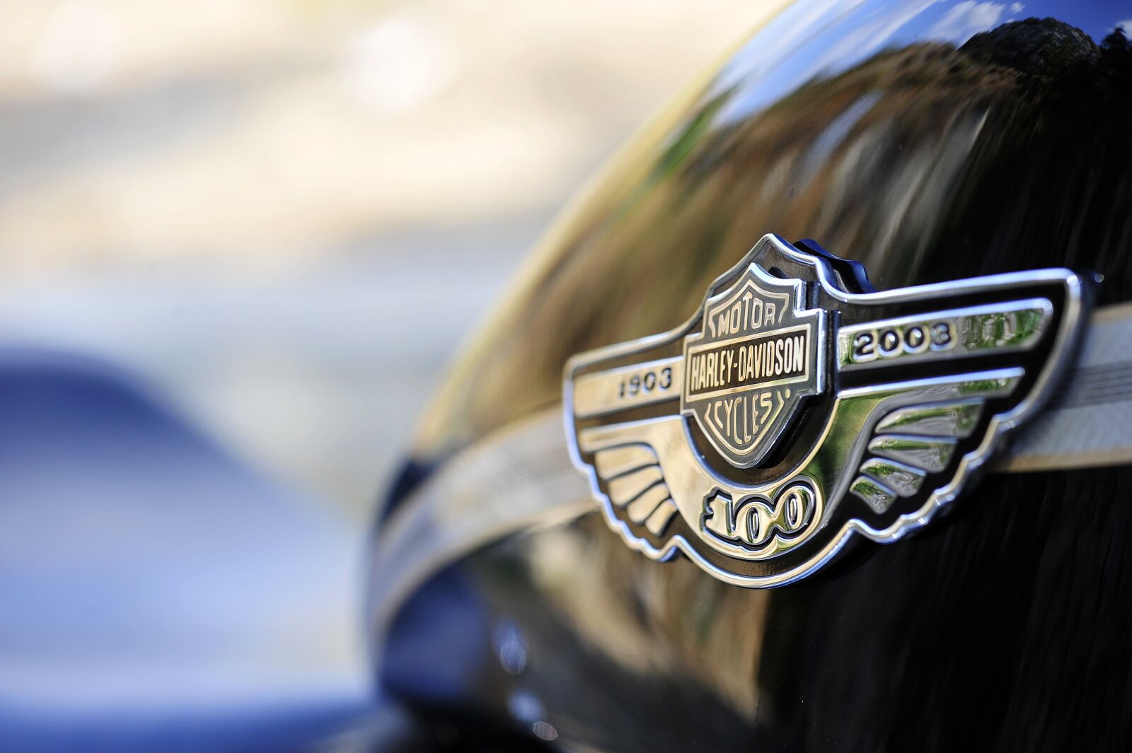 Nikon D700 sample photo. Biker, harley, harley davidson photography