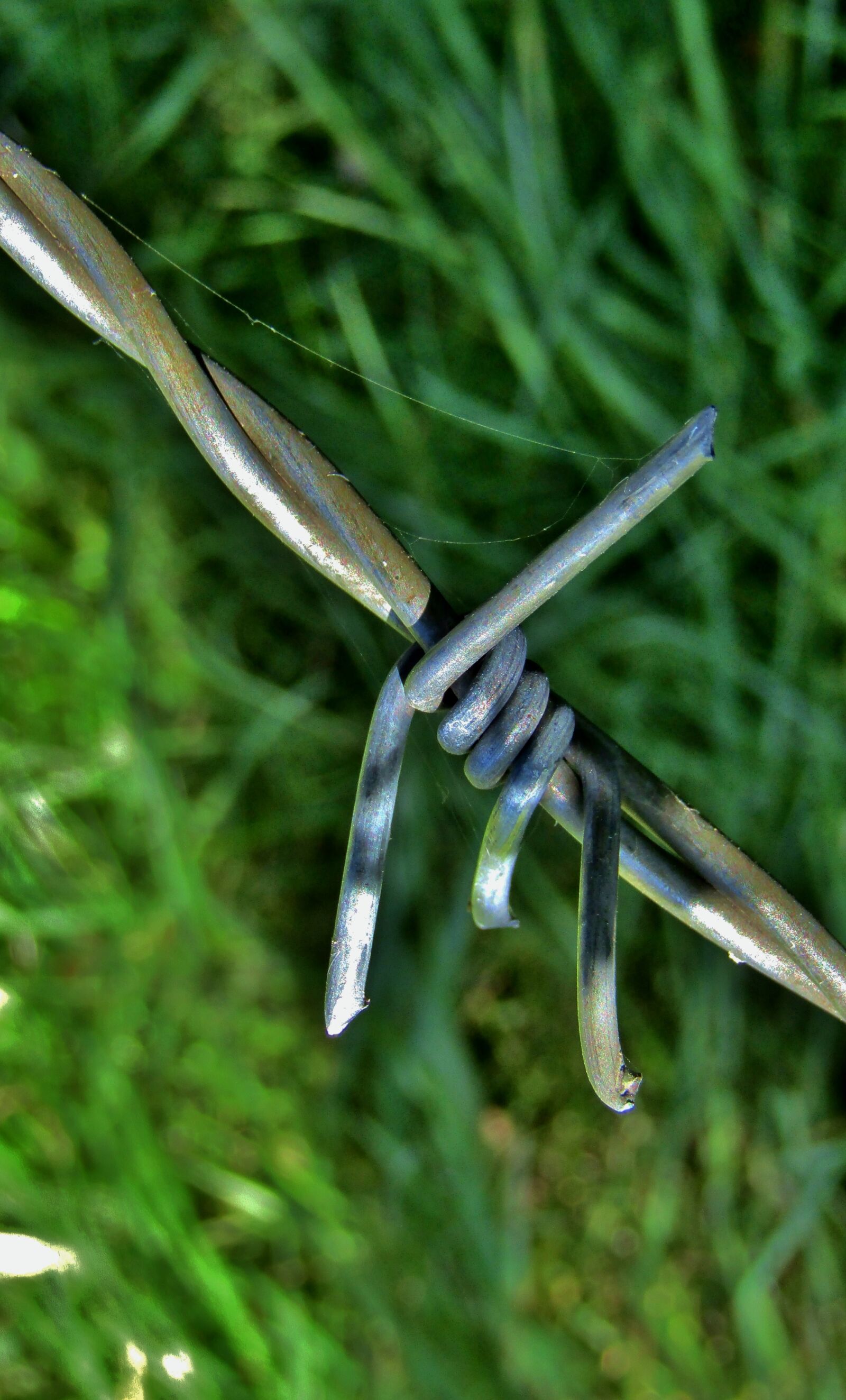 Canon POWERSHOT SX432 IS sample photo. Knot, barrier, wire photography
