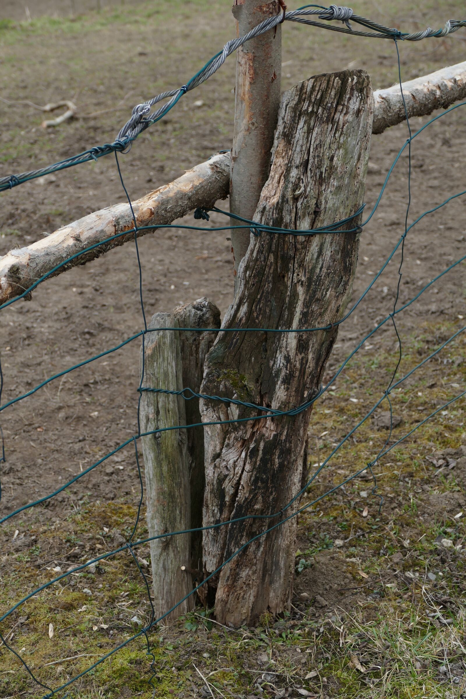 Panasonic Lumix DMC-FZ1000 sample photo. Paddock, fence, wire photography