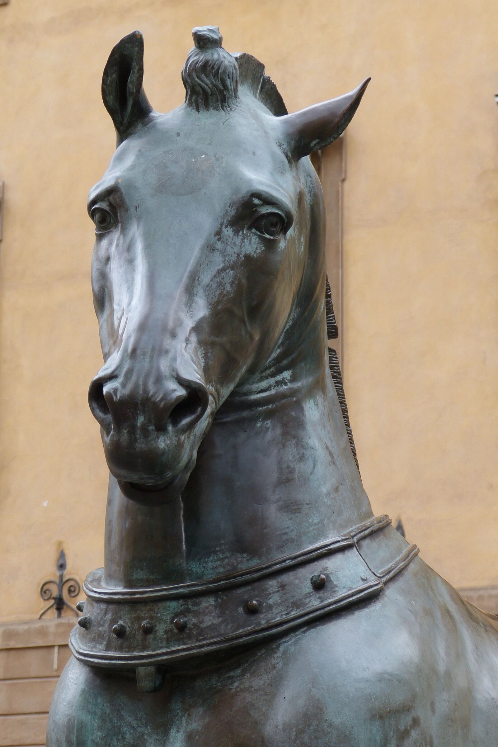 Panasonic Lumix DMC-FZ150 sample photo. Stockholm, sweden, horse photography