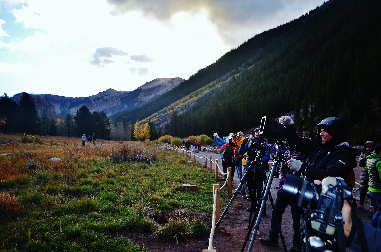 Nikon D5100 sample photo. Colorado, aspen, usa photography