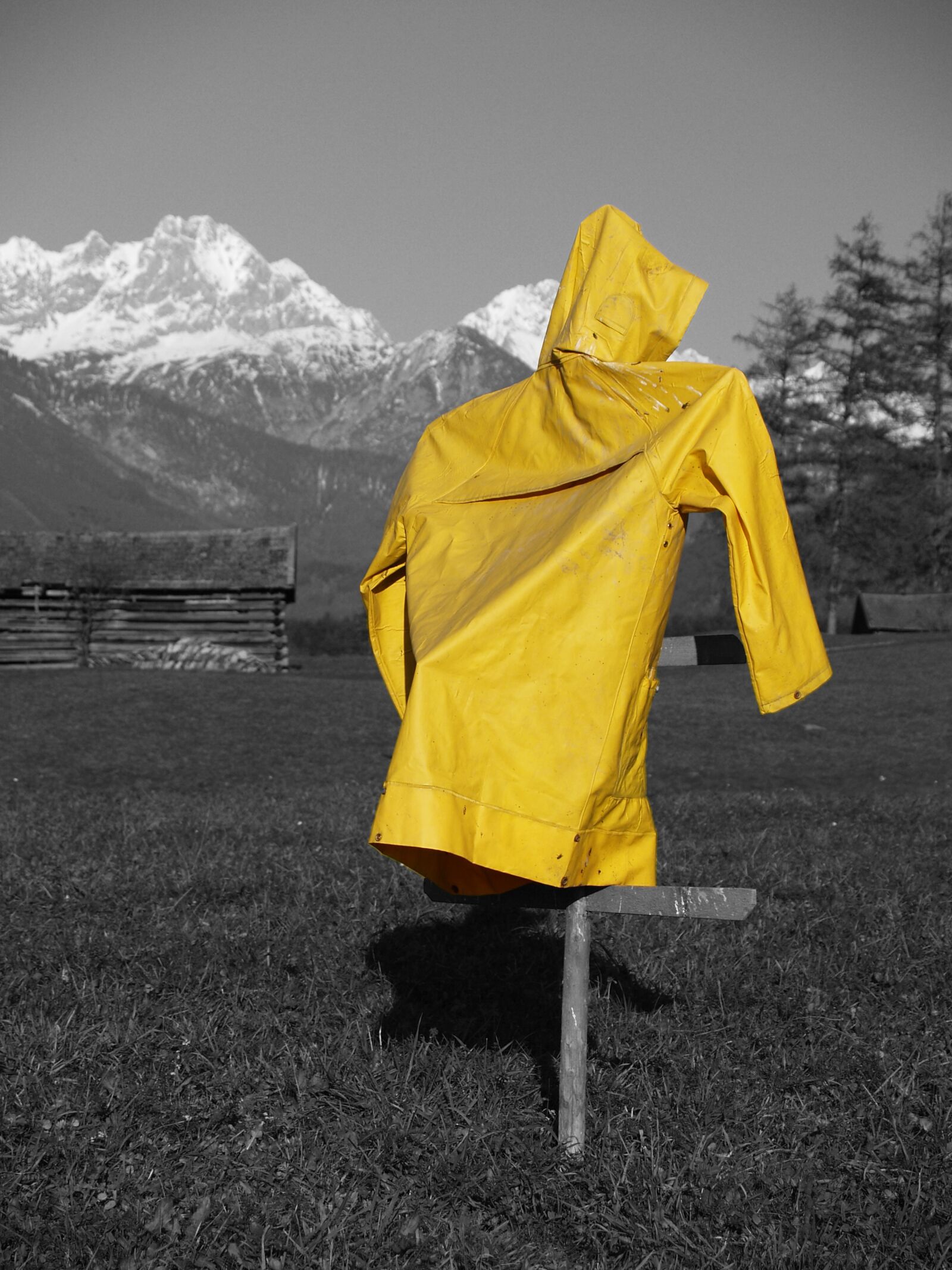 Olympus E-500 (EVOLT E-500) sample photo. Meadow, yellow, rain coat photography