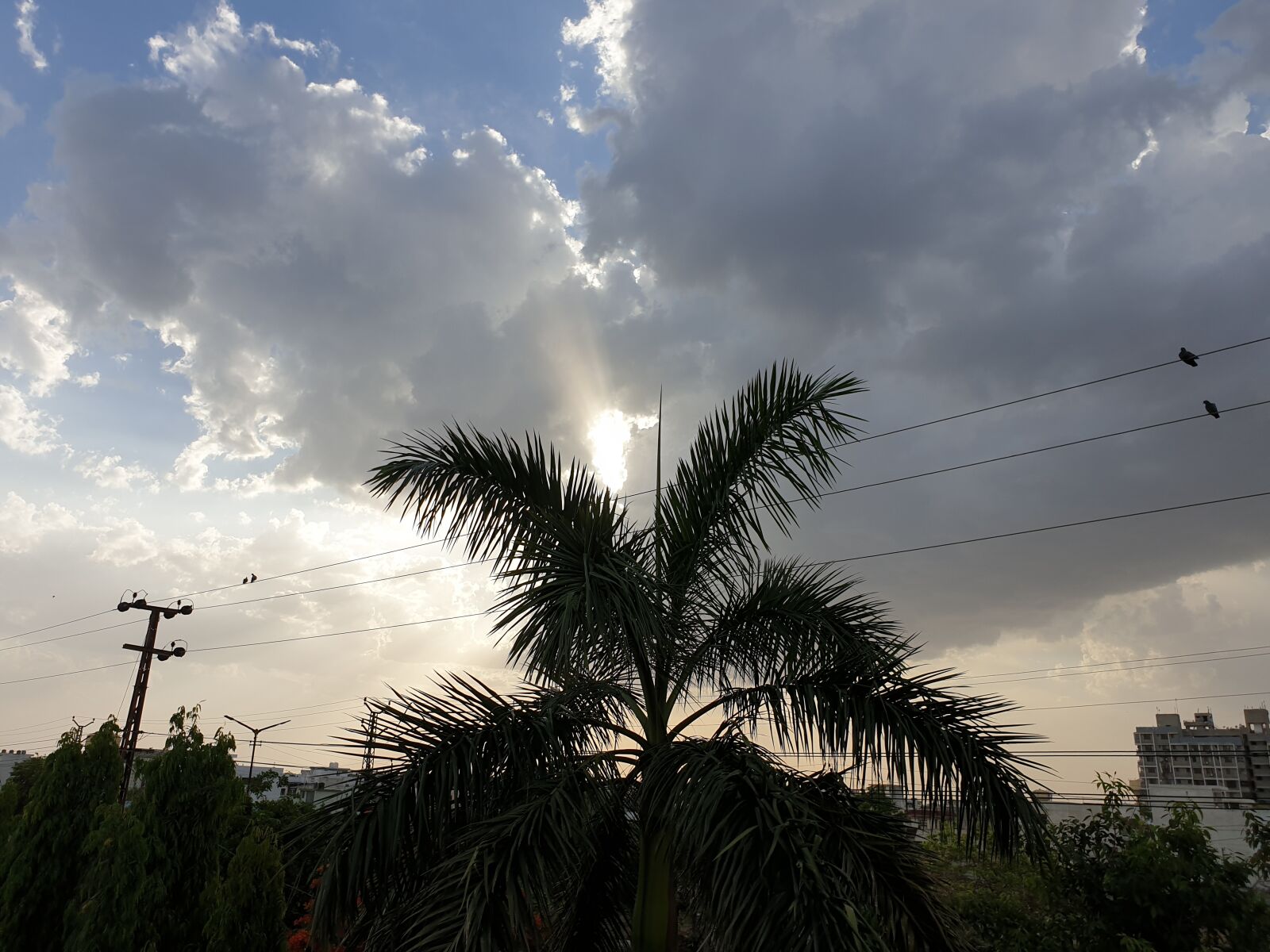 Samsung Galaxy S9+ sample photo. Beautiful sky, tree, evening photography