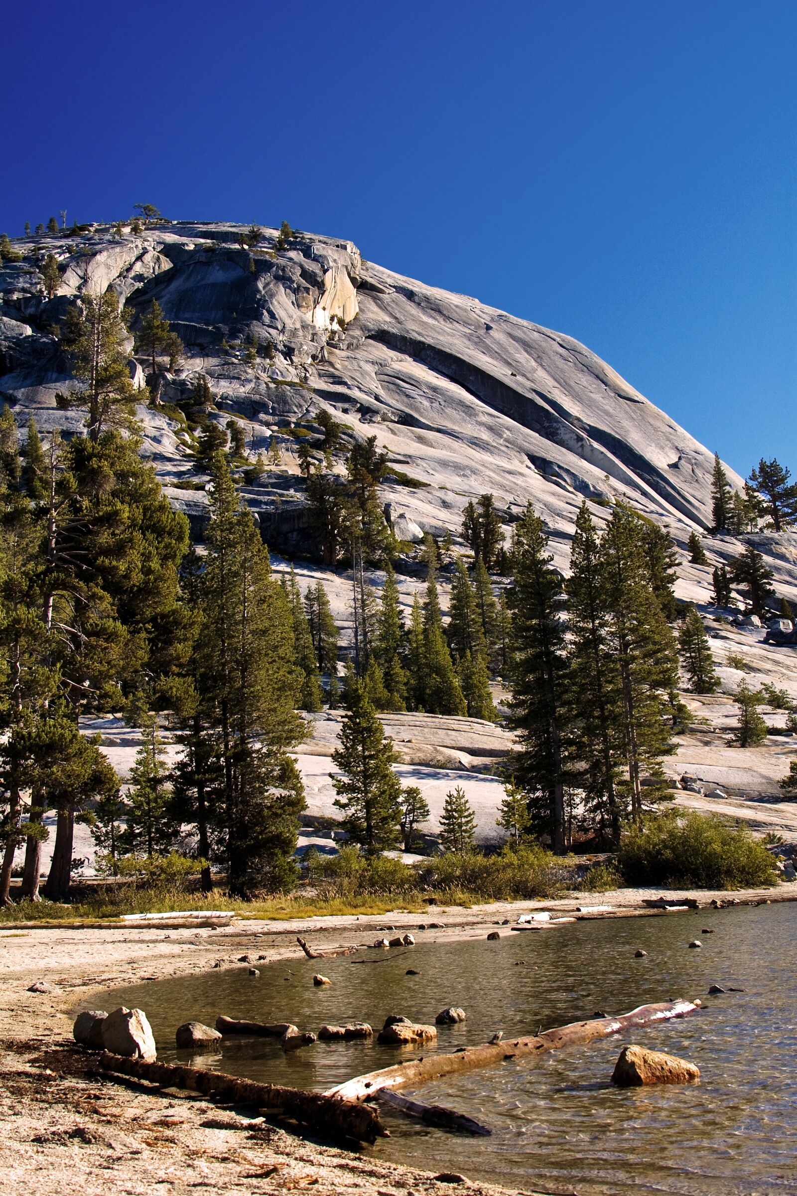 Nikon D50 sample photo. Yosemite, national park, california photography