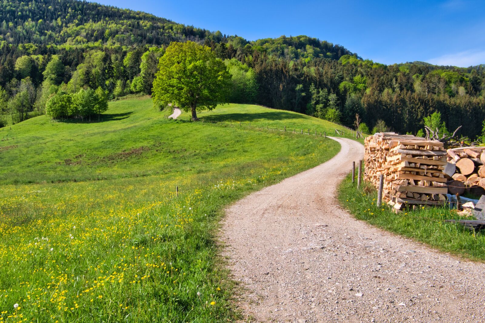 Nikon D7500 sample photo. Away, lane, landscape photography