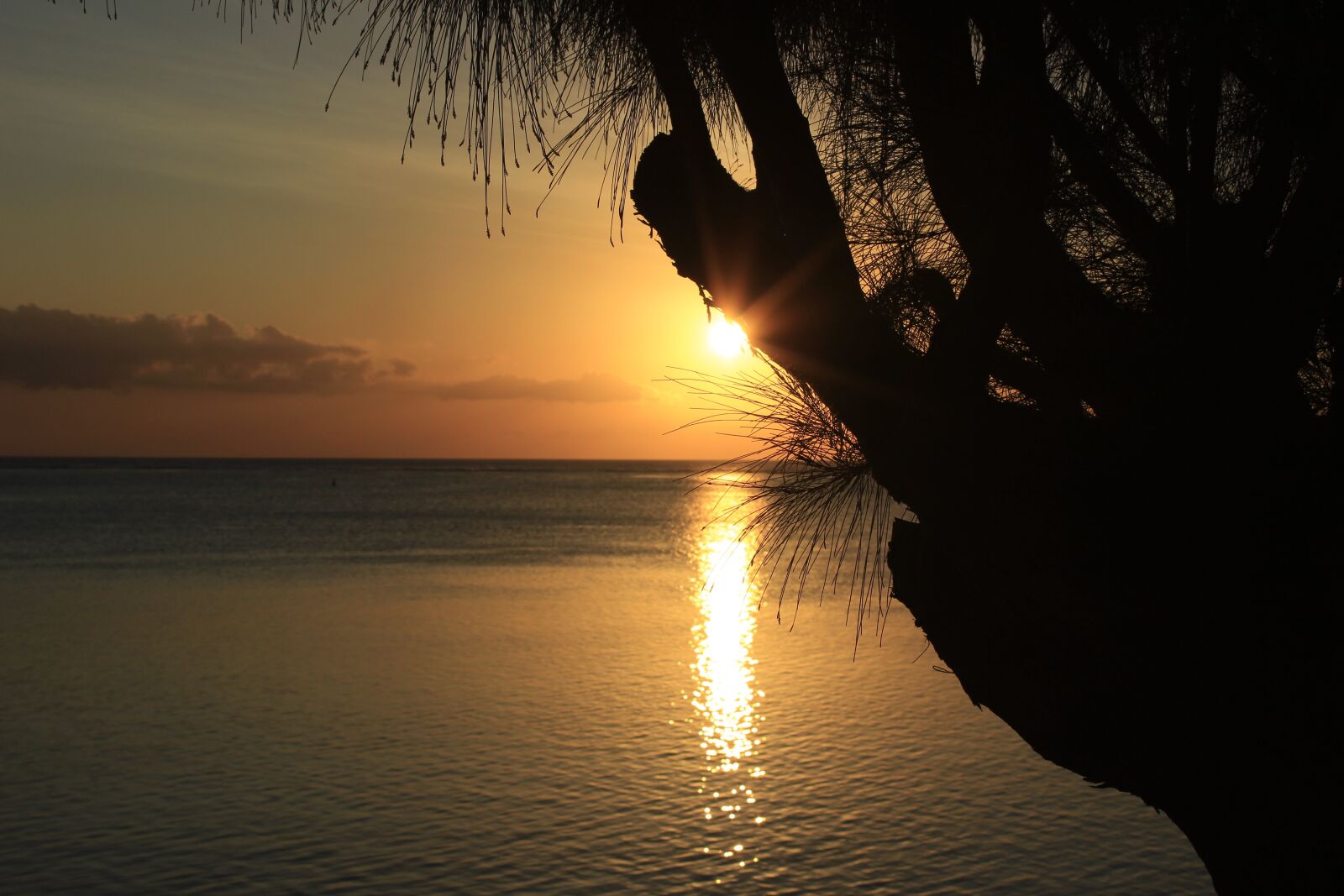 Canon EOS 600D (Rebel EOS T3i / EOS Kiss X5) sample photo. Sunset, tropics, island photography