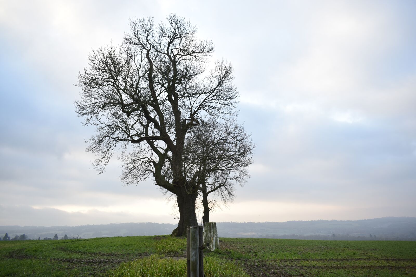 Nikon D5300 sample photo. Autumn, nature, landscape photography